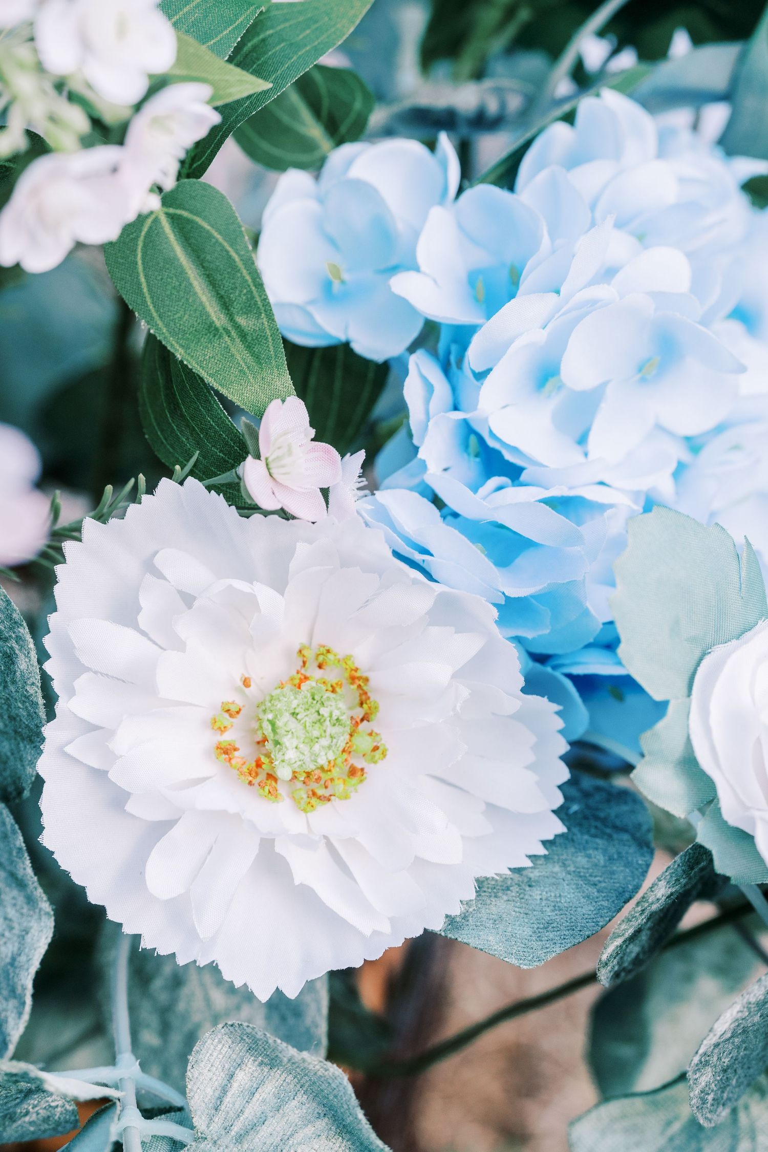 A series of delicate white and light blue flowers with yellow centers against green foliage.