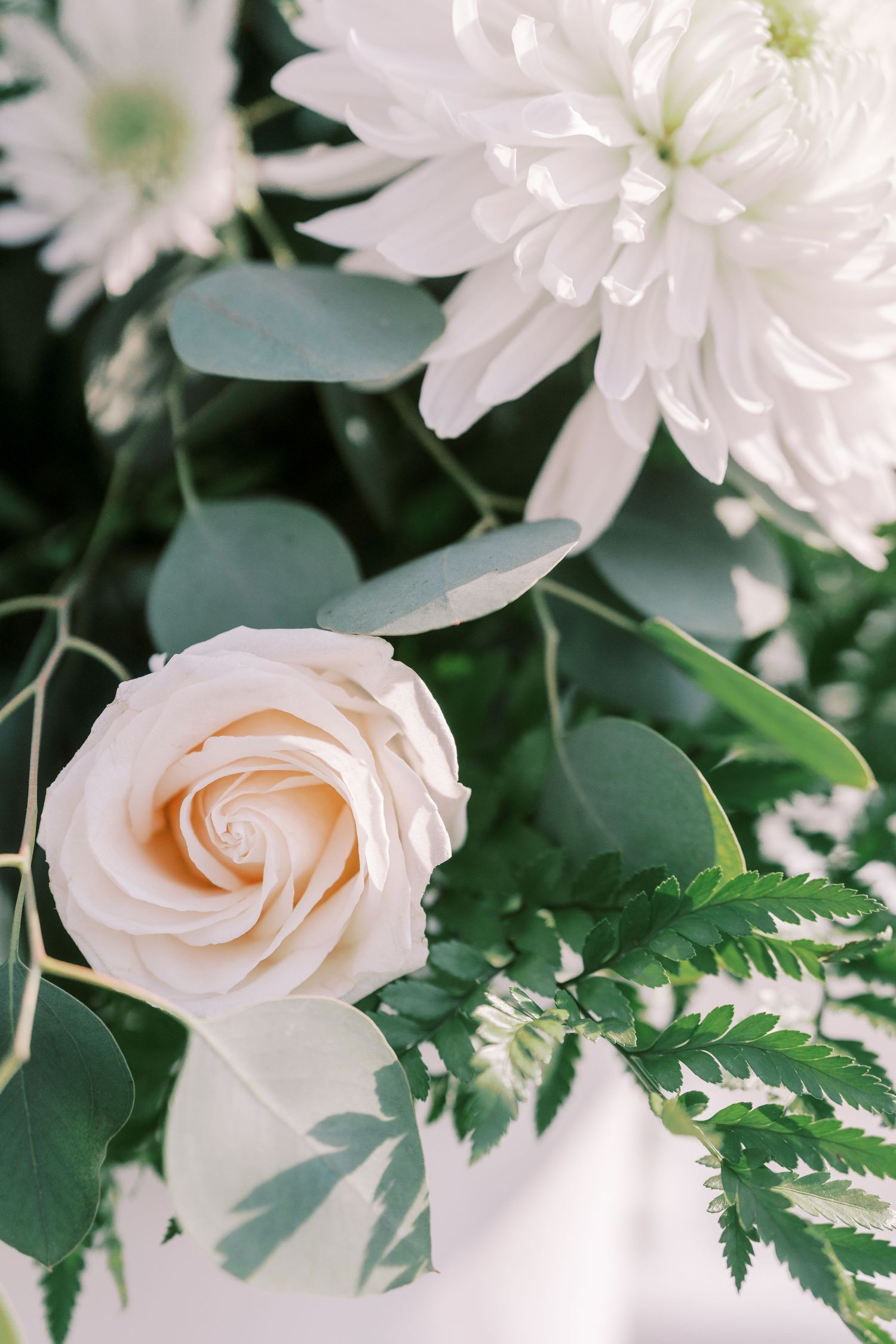 Delicate white roses and ferns arranged in an elegant floral display with soft green foliage.