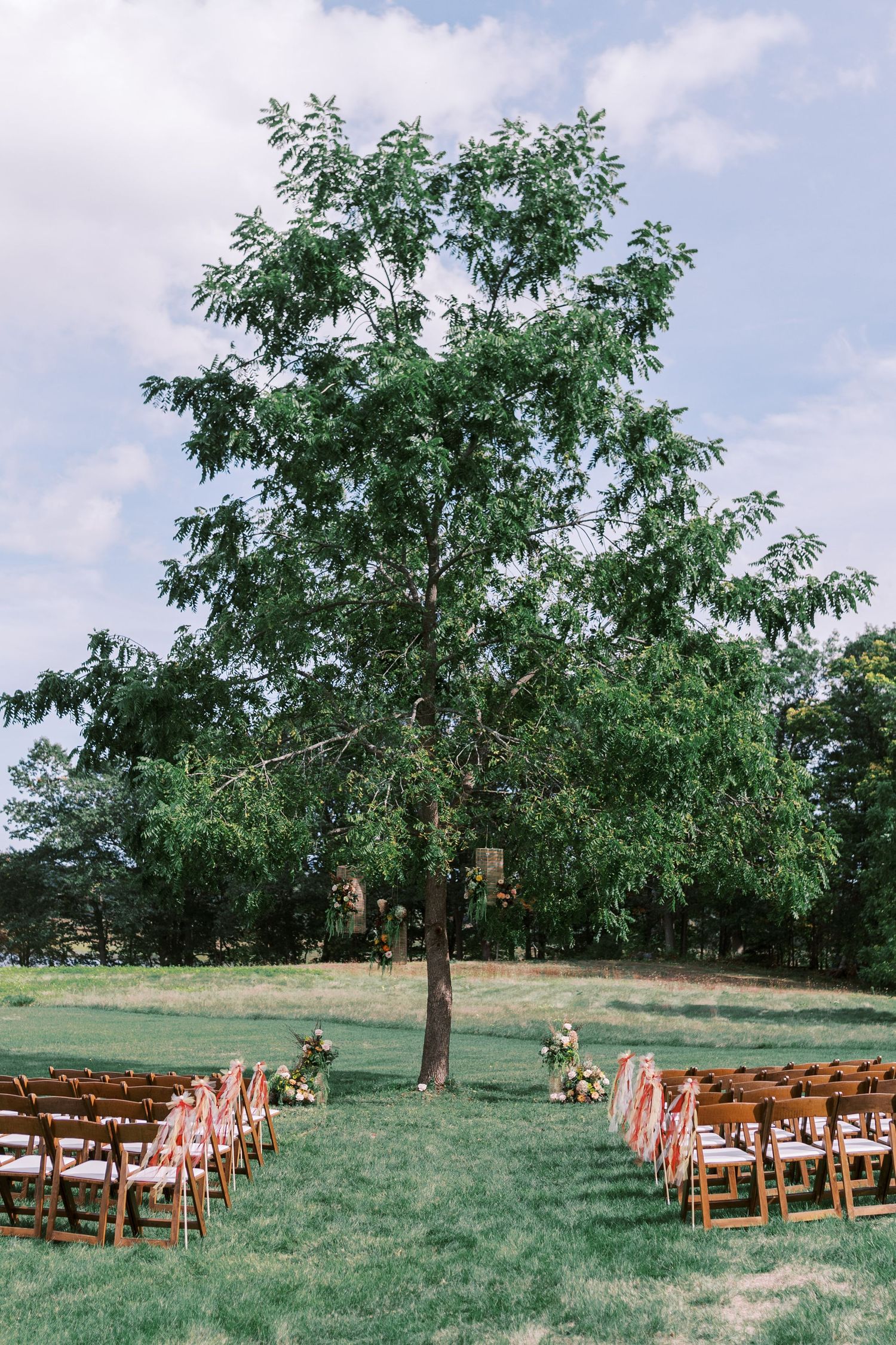 Wooden ceremony chairs arranged under a large tree for an outdoor wedding.