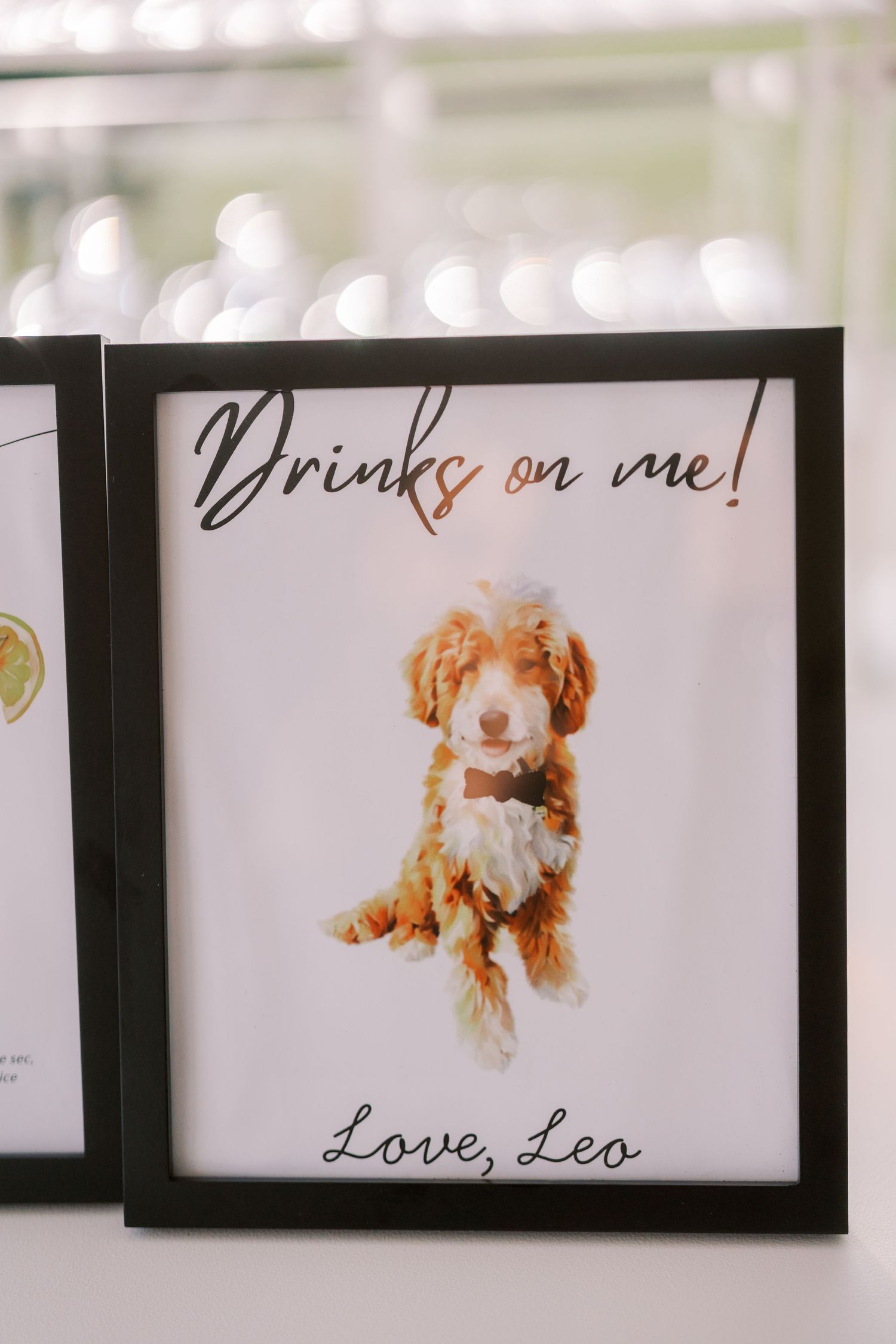 A series of white cards with brown dog illustrations displayed in black frames against a light colored wall.