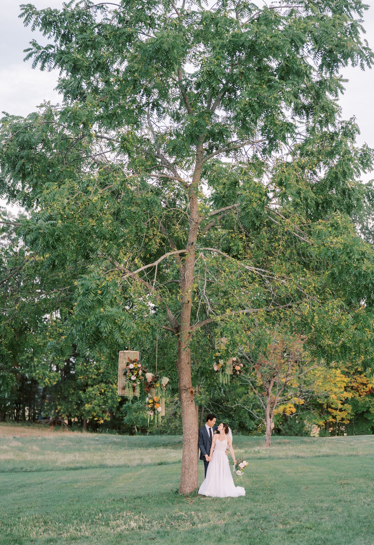 Wedding ceremony site with tall trees decorated with hanging lanterns in natural setting.