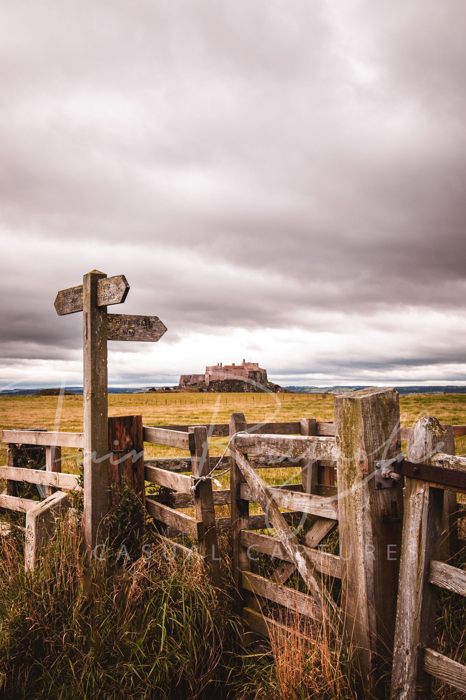Casual Captures at Holy Island