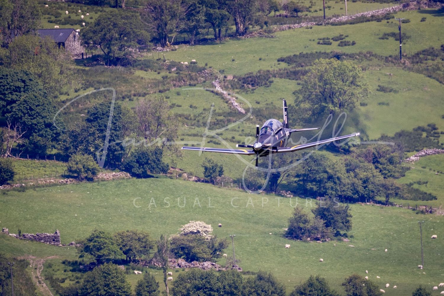 Casual Captures at the Mach Loop