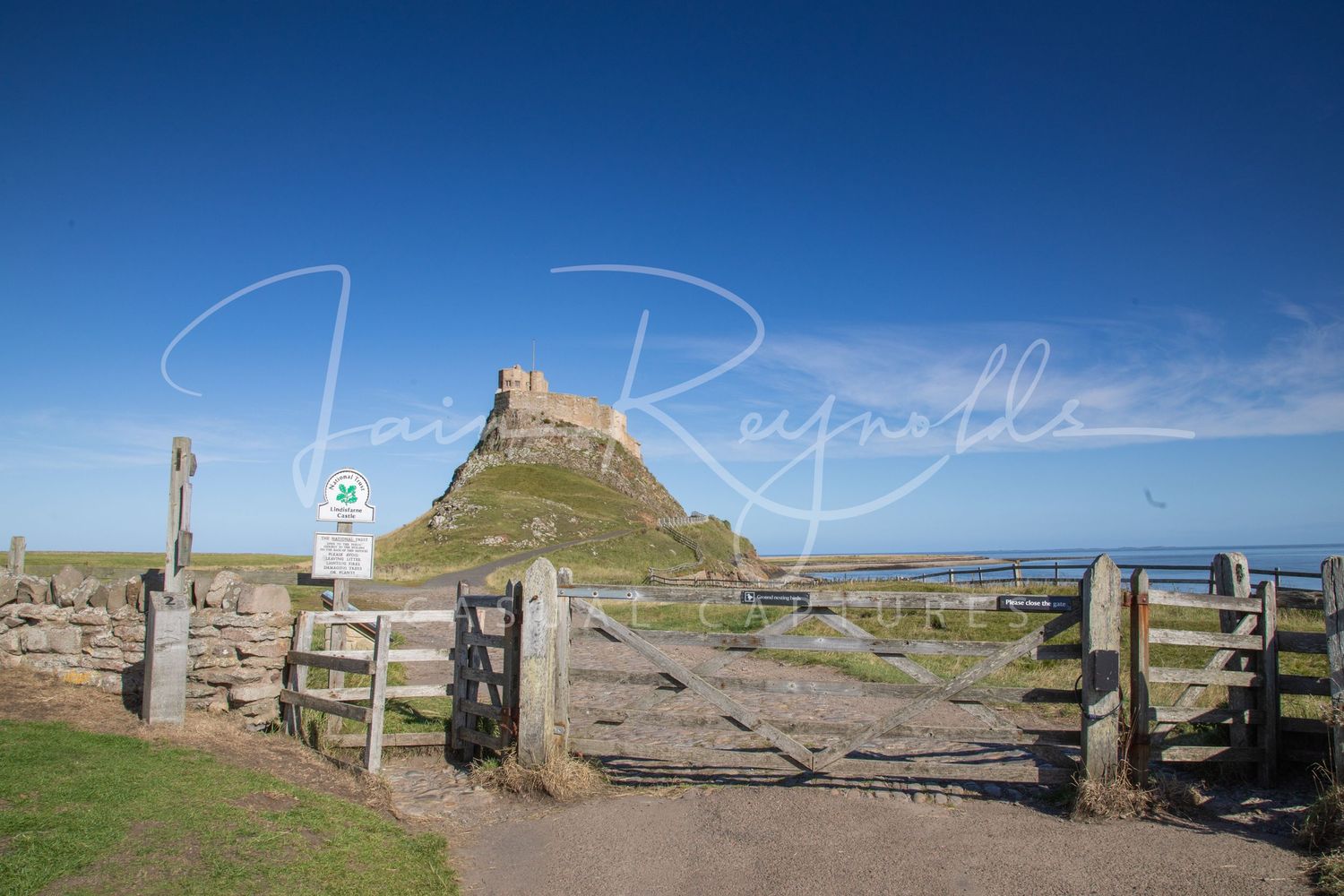 Casual Captures at Holy Island