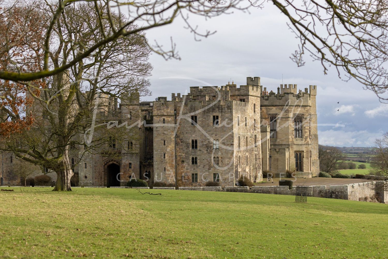 Casual Captures at Raby Castle