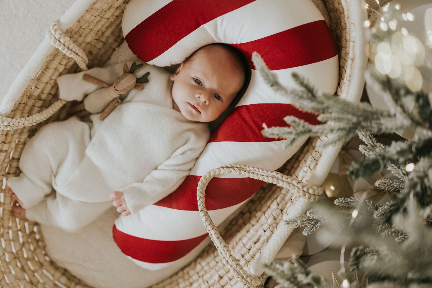 Julekortfotografering Oppegård