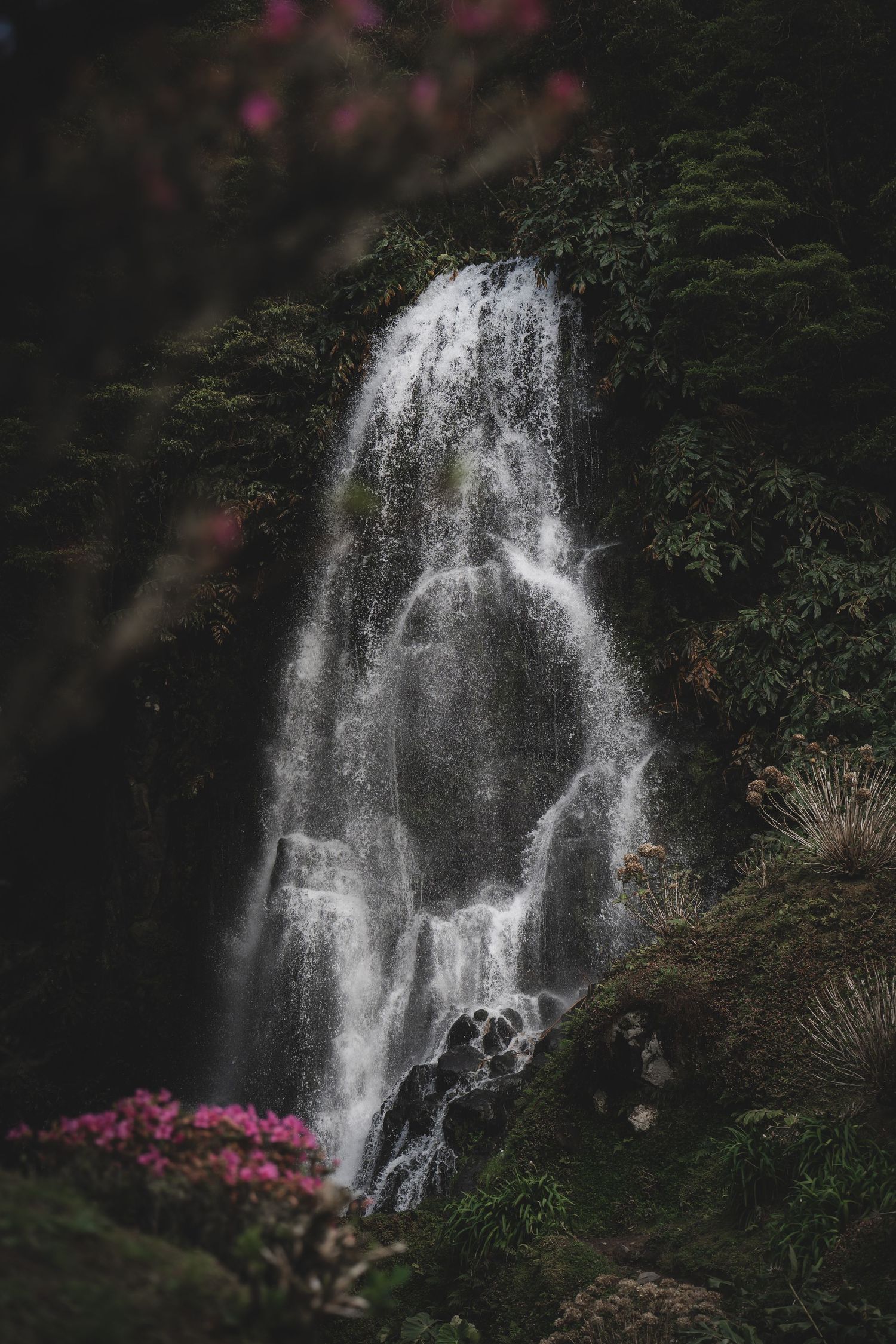 A majestic waterfall cascades down dark rocks surrounded by lush greenery and pink flowers in a moody forest setting.