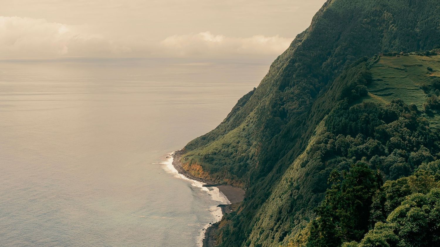 Aerial panoramic view of dramatic coastal cliffs and ocean waves along a lush mountainous coastline at sunset.