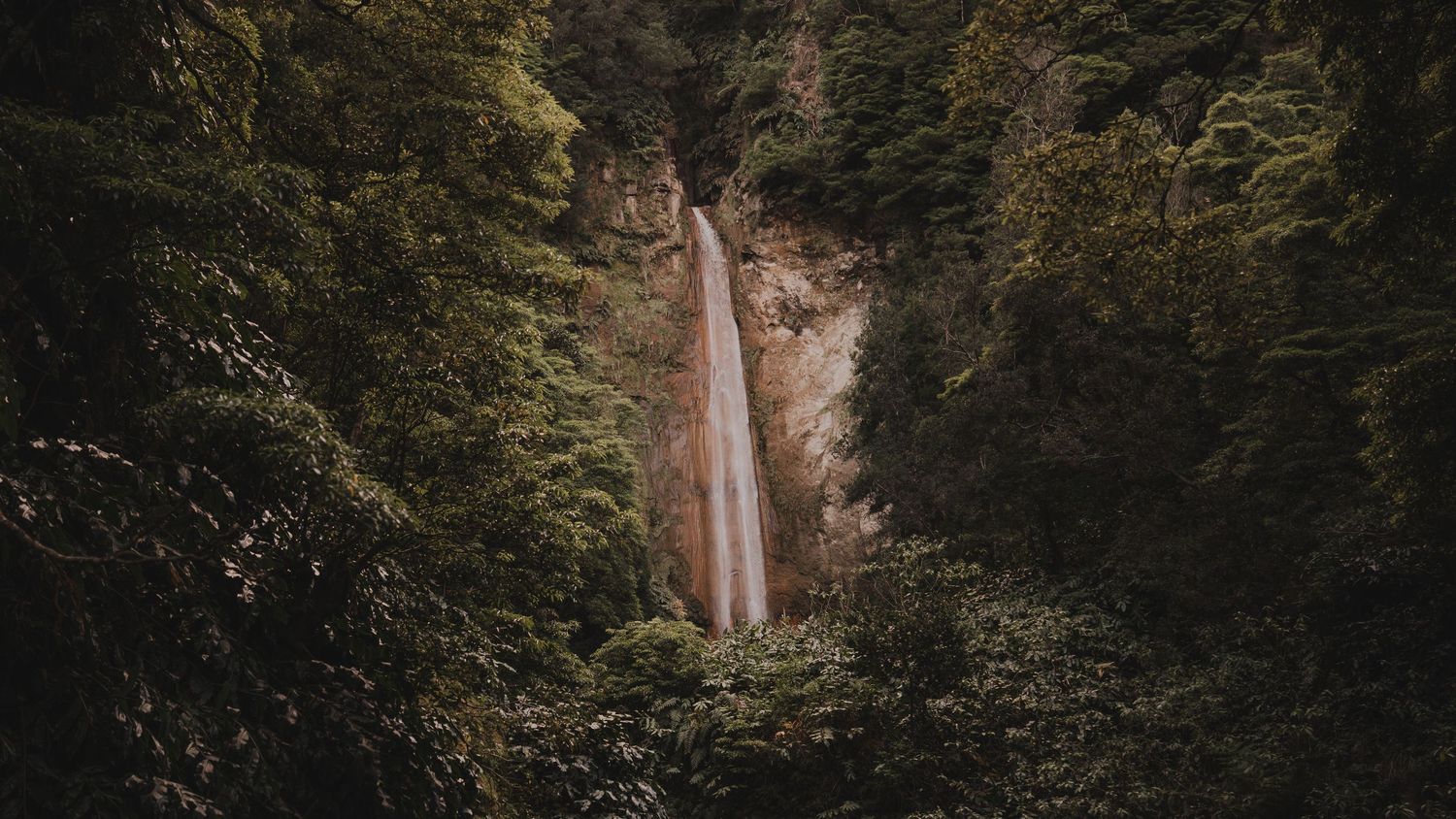 A tall cascading waterfall plunges down a rocky cliff face surrounded by lush green forest in a moody natural setting.