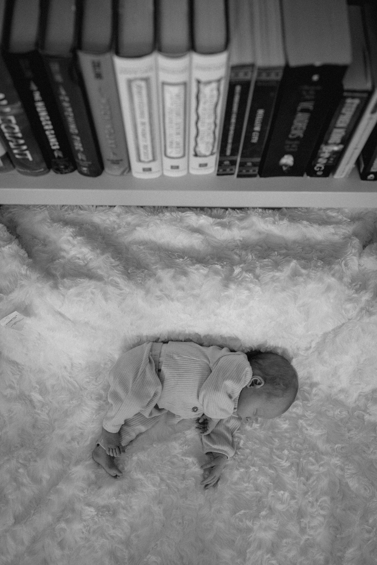 A gray cat lies stretched out asleep on a fluffy white carpet beneath a bookshelf.
