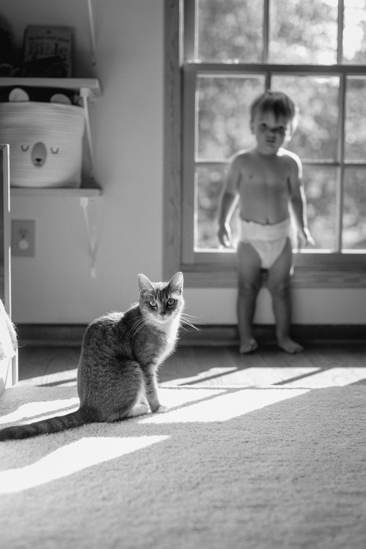 Black and white photo of a cat sitting on carpet with a toddler in diapers standing by a sunlit window behind.