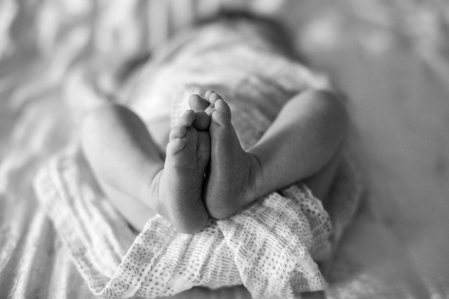 Black and white close-up photo of tiny newborn baby feet resting on soft knitted blanket.