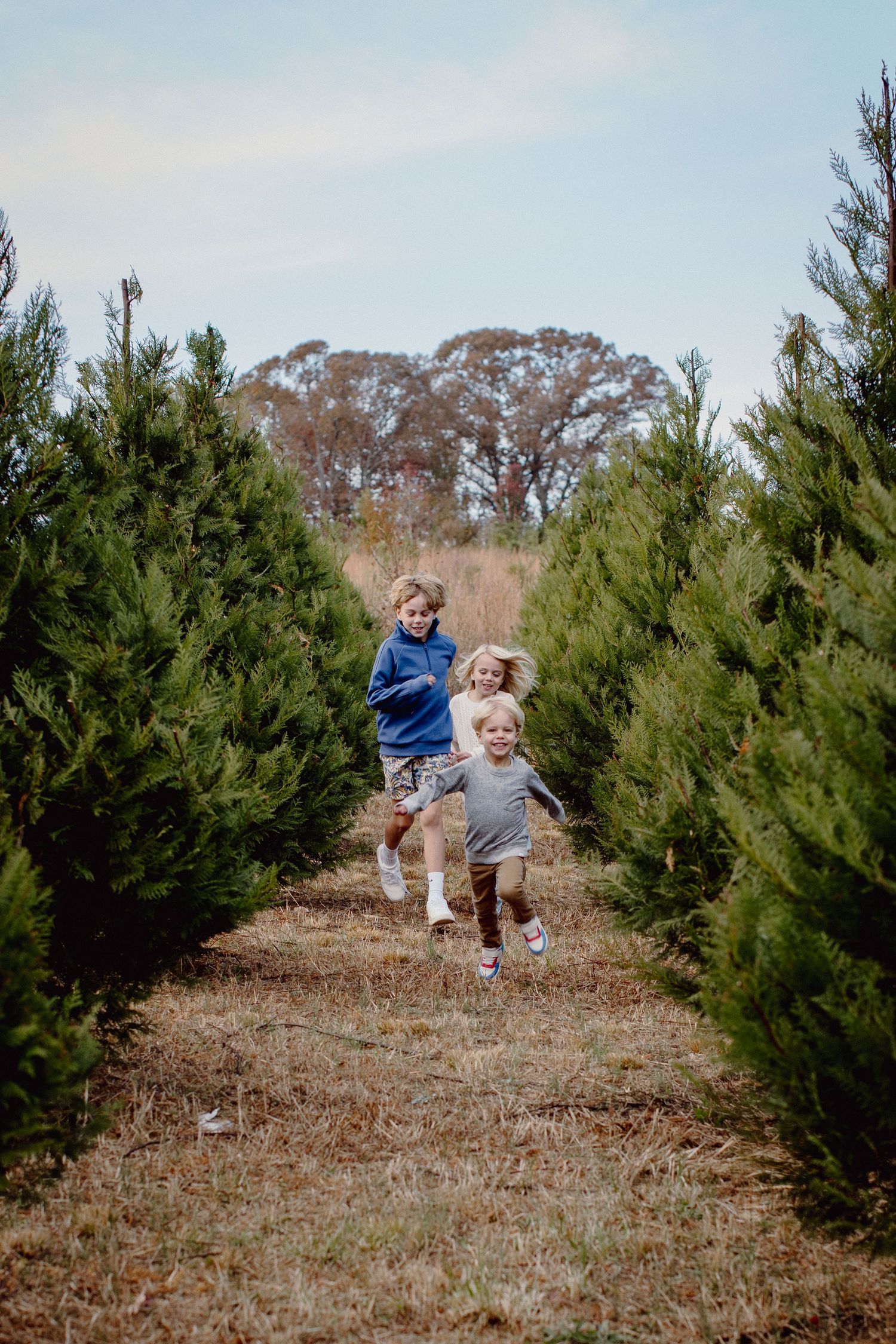 Two people running joyfully between rows of evergreen trees at a Christmas tree farm on a cloudy day.