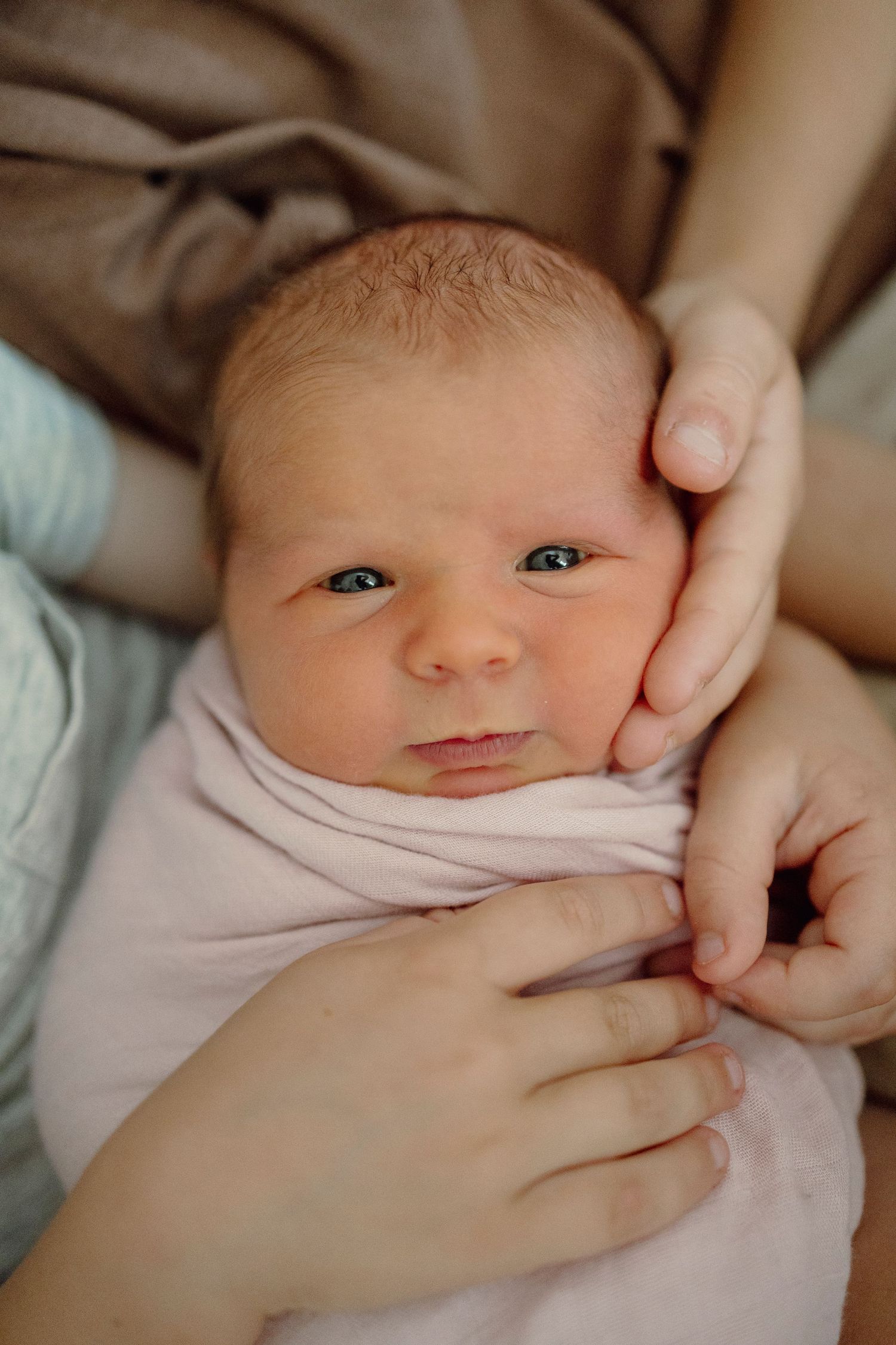 A newborn baby wrapped in a soft pink blanket being gently cradled by caring hands.