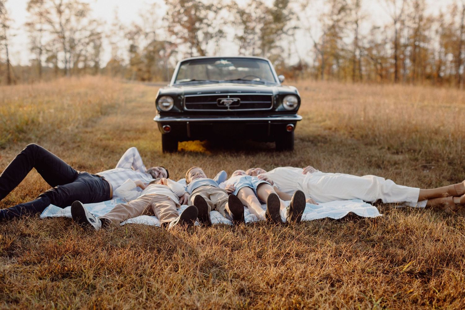 A classic Ford Mustang parked in a golden autumn field during sunset with tall grass in the foreground.
