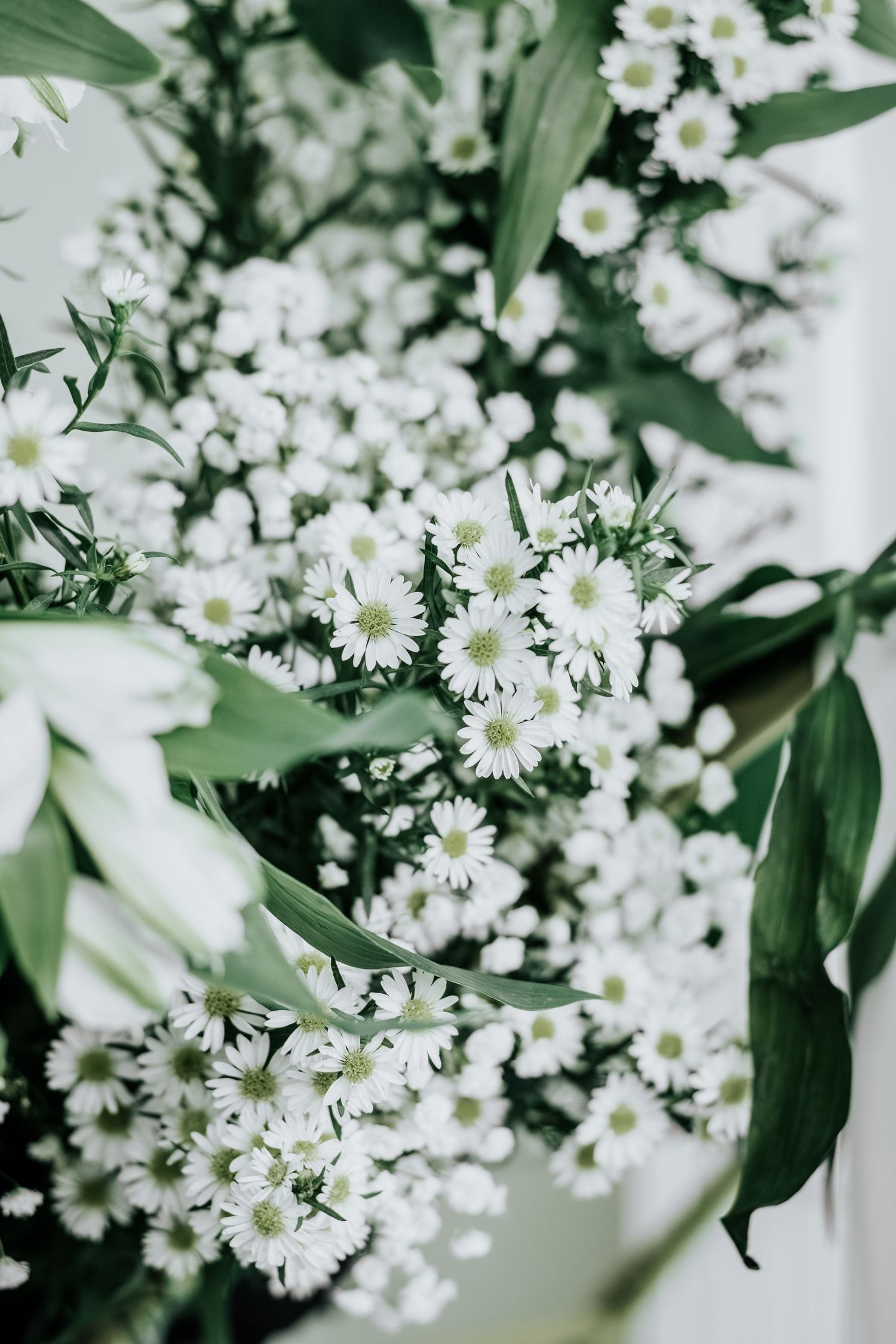 Close-up of delicate white daisies and greenery in a romantic floral arrangement.