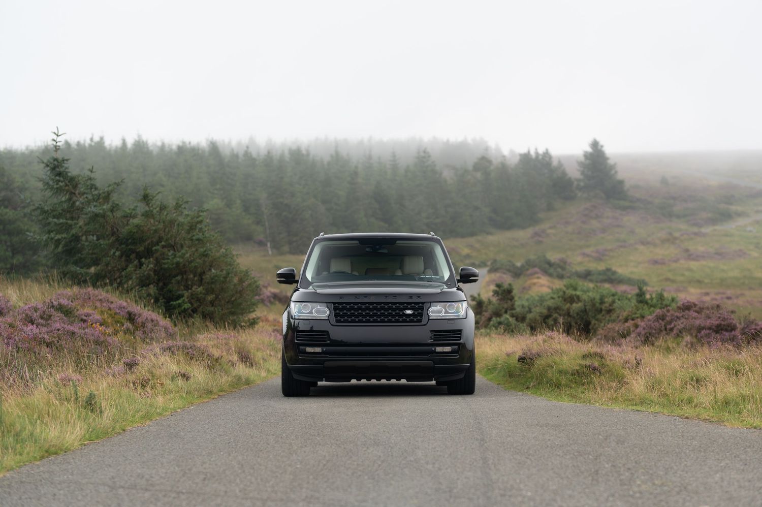 Black Range Rover SUV parked on misty moorland road surrounded by heather.