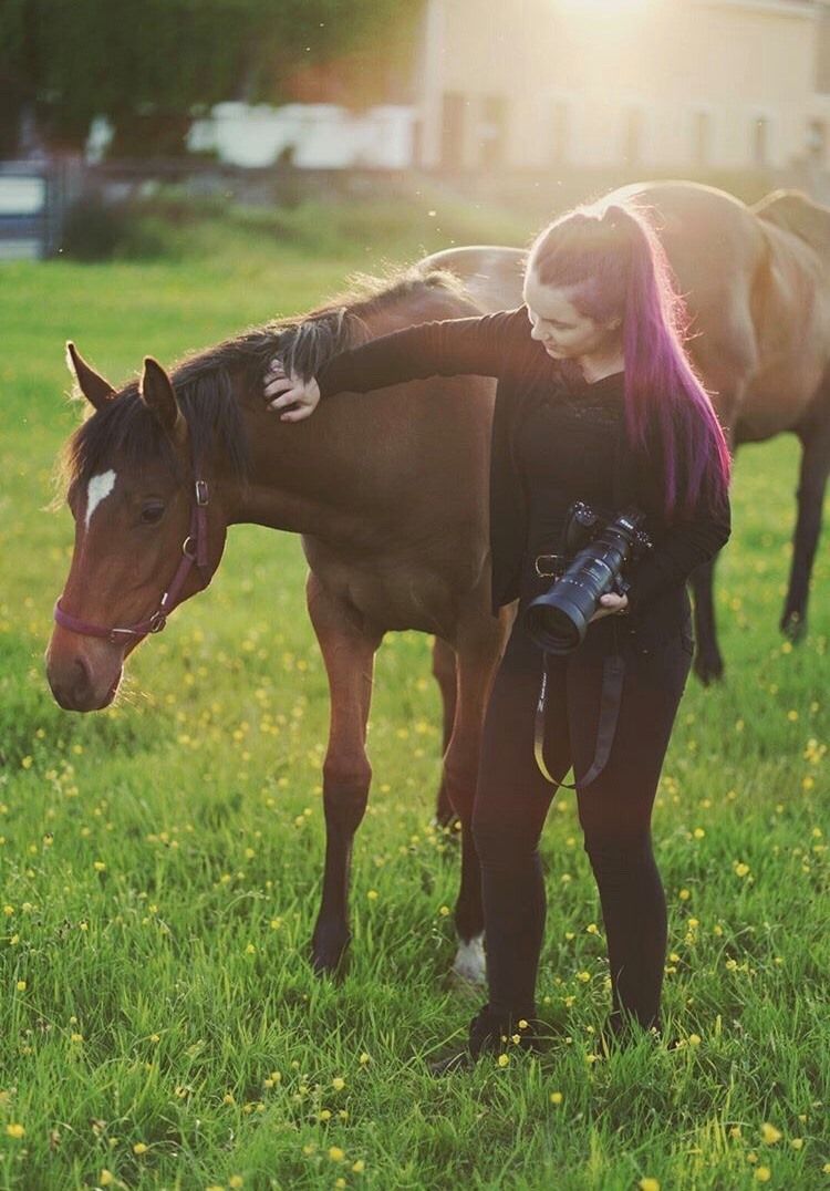 Woman with pink hair holding camera gently petting brown horse in sunny green field.