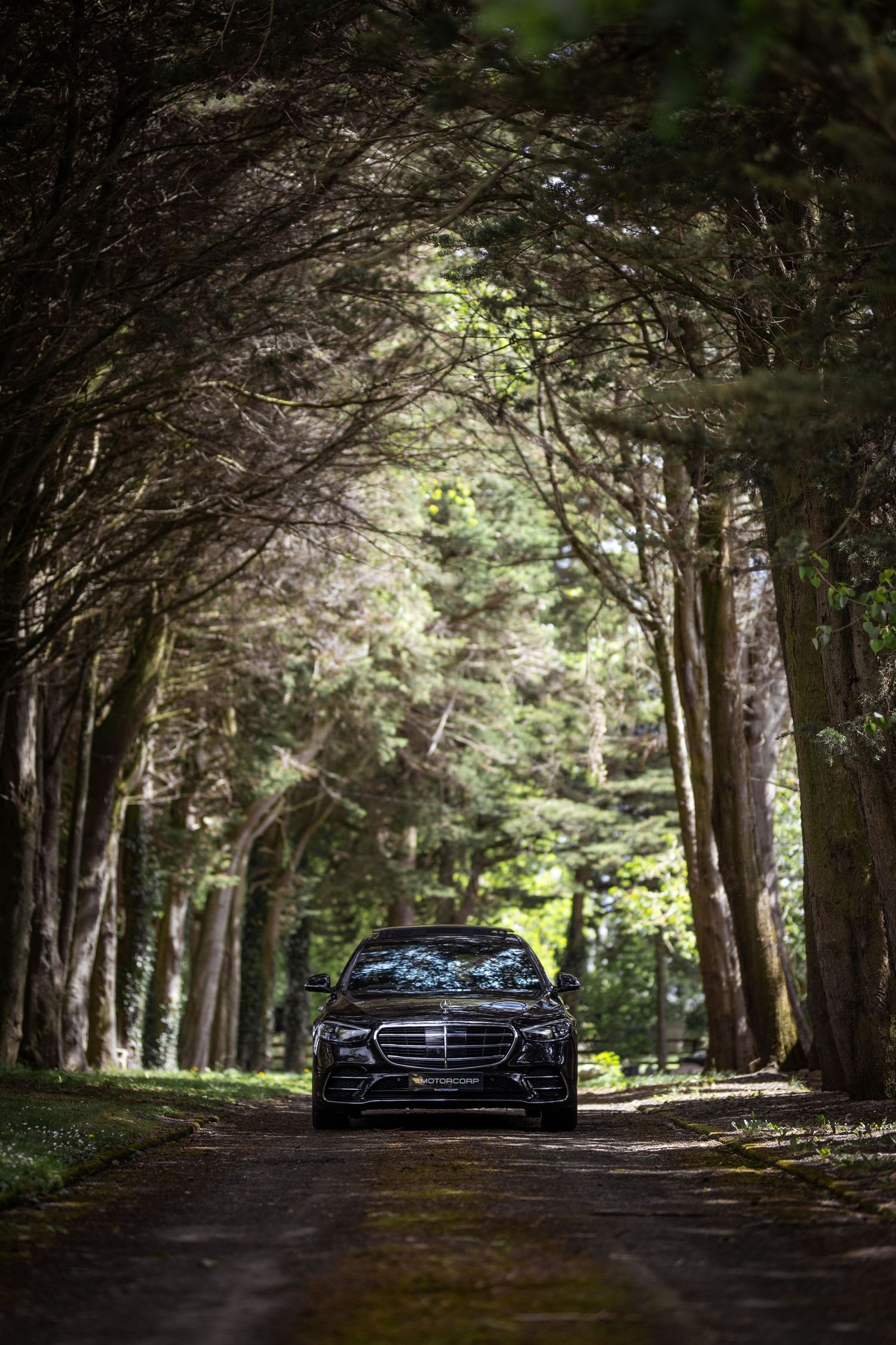 Black luxury sedan driving through a tunnel of tall trees on a forest road.