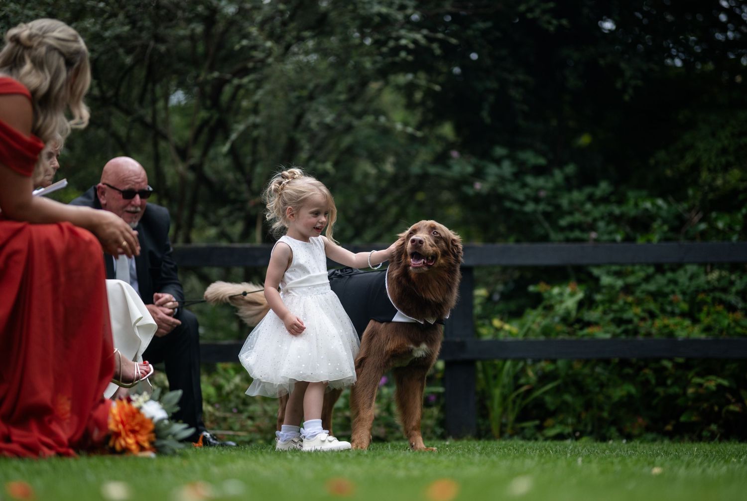 Adorable flower girl in white dress pets a large brown dog wearing a tuxedo at a wedding.