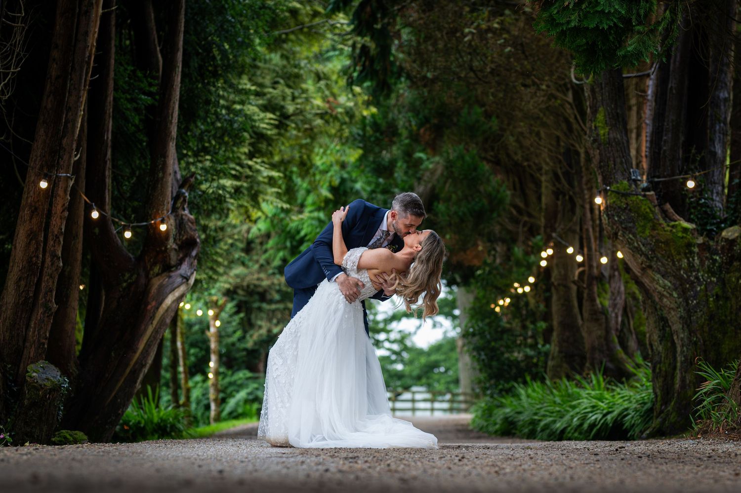 Groom dips bride for a romantic kiss among towering redwoods with string lights at an outdoor wedding.