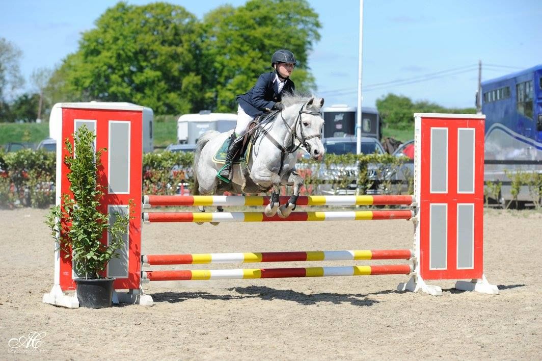 A rider on a gray horse jumping over red and white show jumping poles at an outdoor equestrian competition.