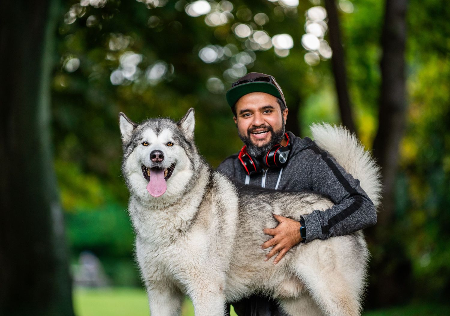 Man with red headphones hugs a large fluffy Alaskan Malamute dog outdoors in a lush green park.