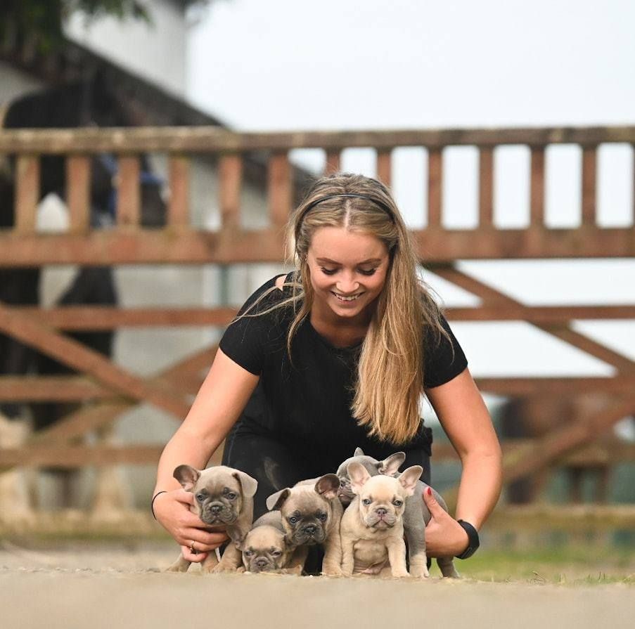 Smiling blonde woman crouching down with four adorable French Bulldog puppies outdoors near a wooden fence.