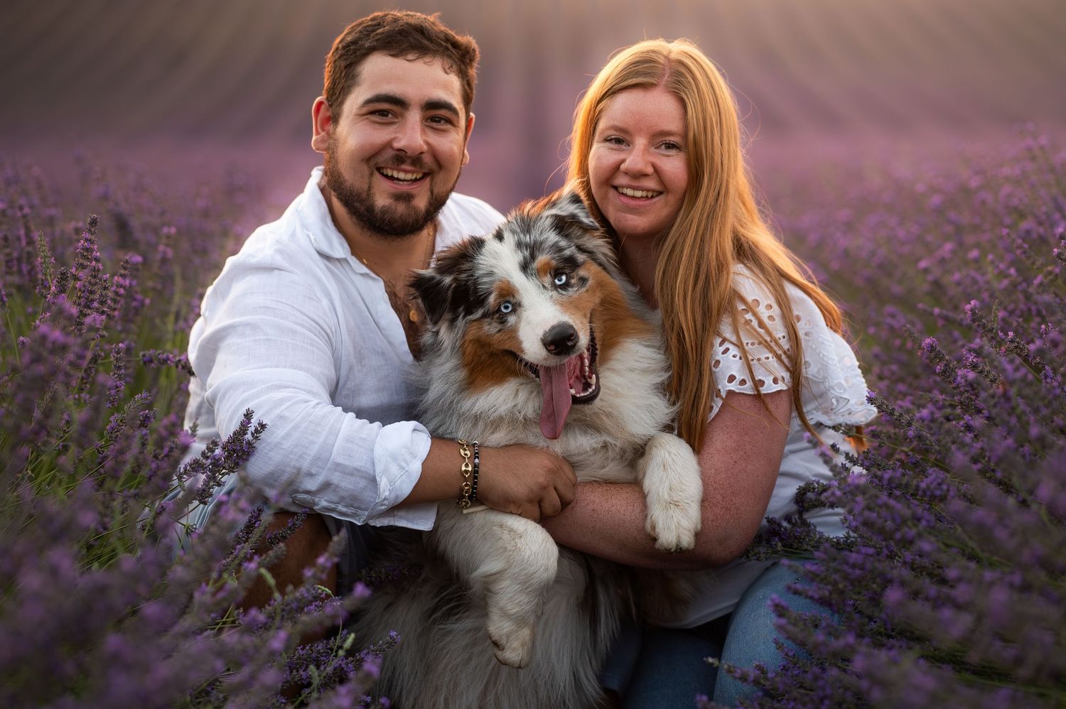 Couple smiling with their Australian Shepherd dog in a blooming purple lavender field at golden hour.