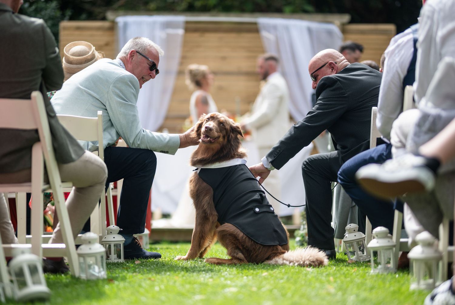 Dog in a black jacket being petted by guests during outdoor wedding ceremony.