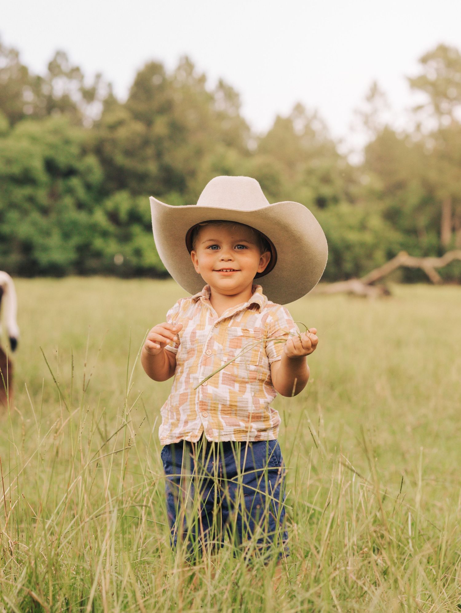 Child in cowboy hat and summer clothes standing in tall grass field.