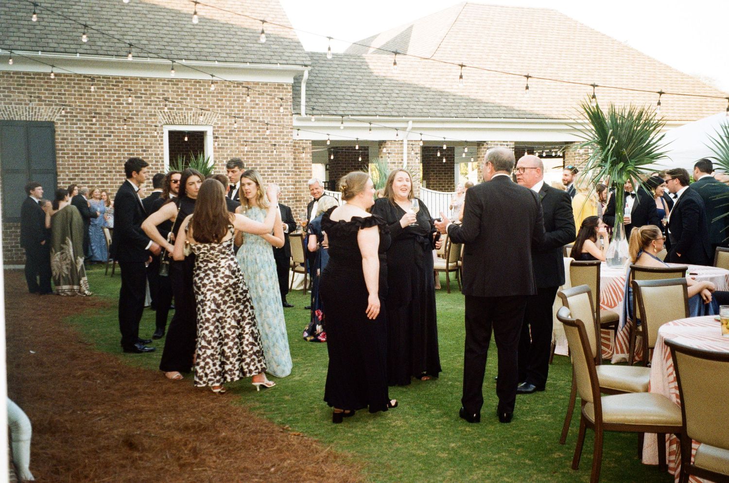 Elegantly dressed wedding guests mingling outdoors on a lawn at a evening reception with string lights.