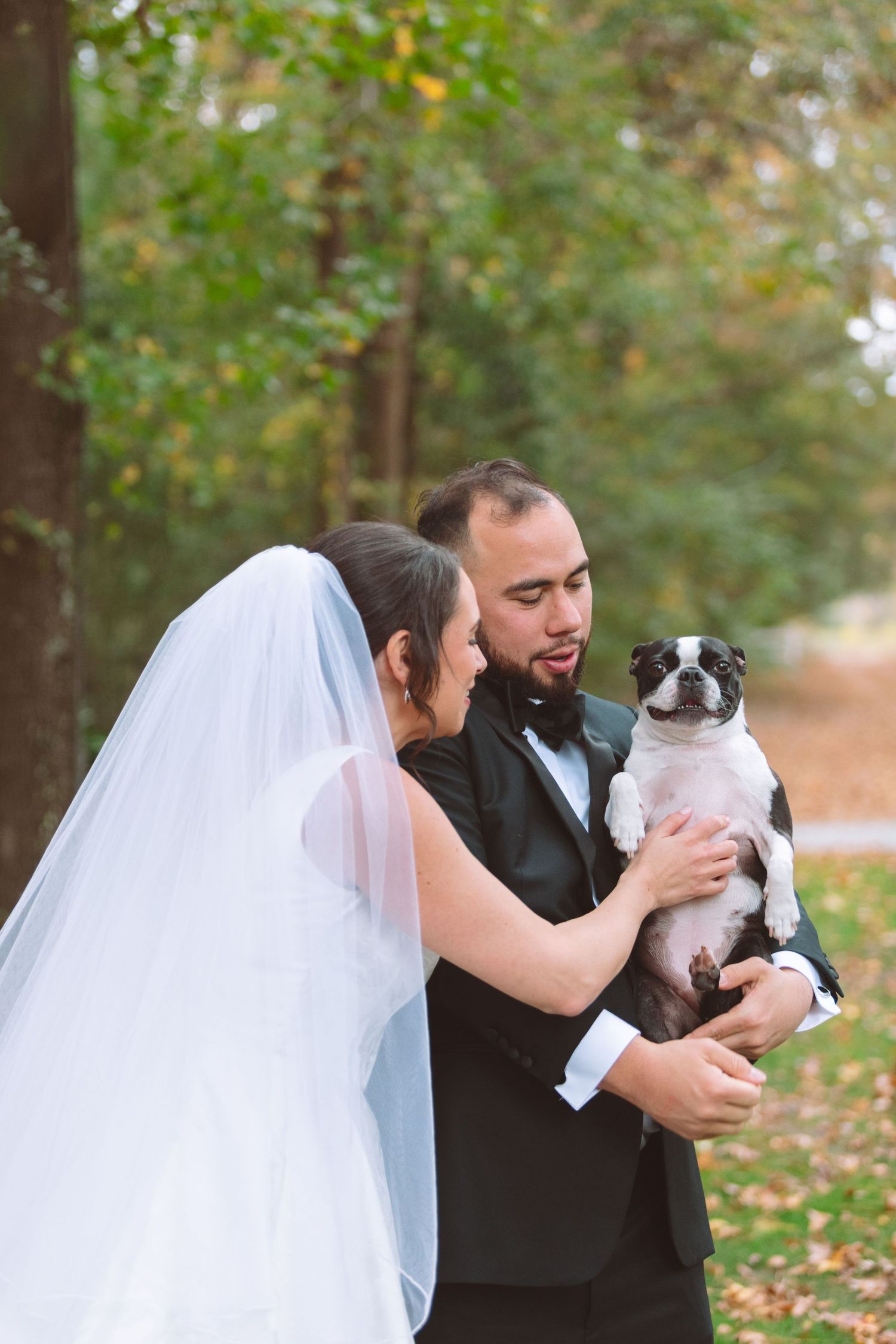 Bride and groom holding Boston Terrier dog during outdoor fall wedding portrait session.