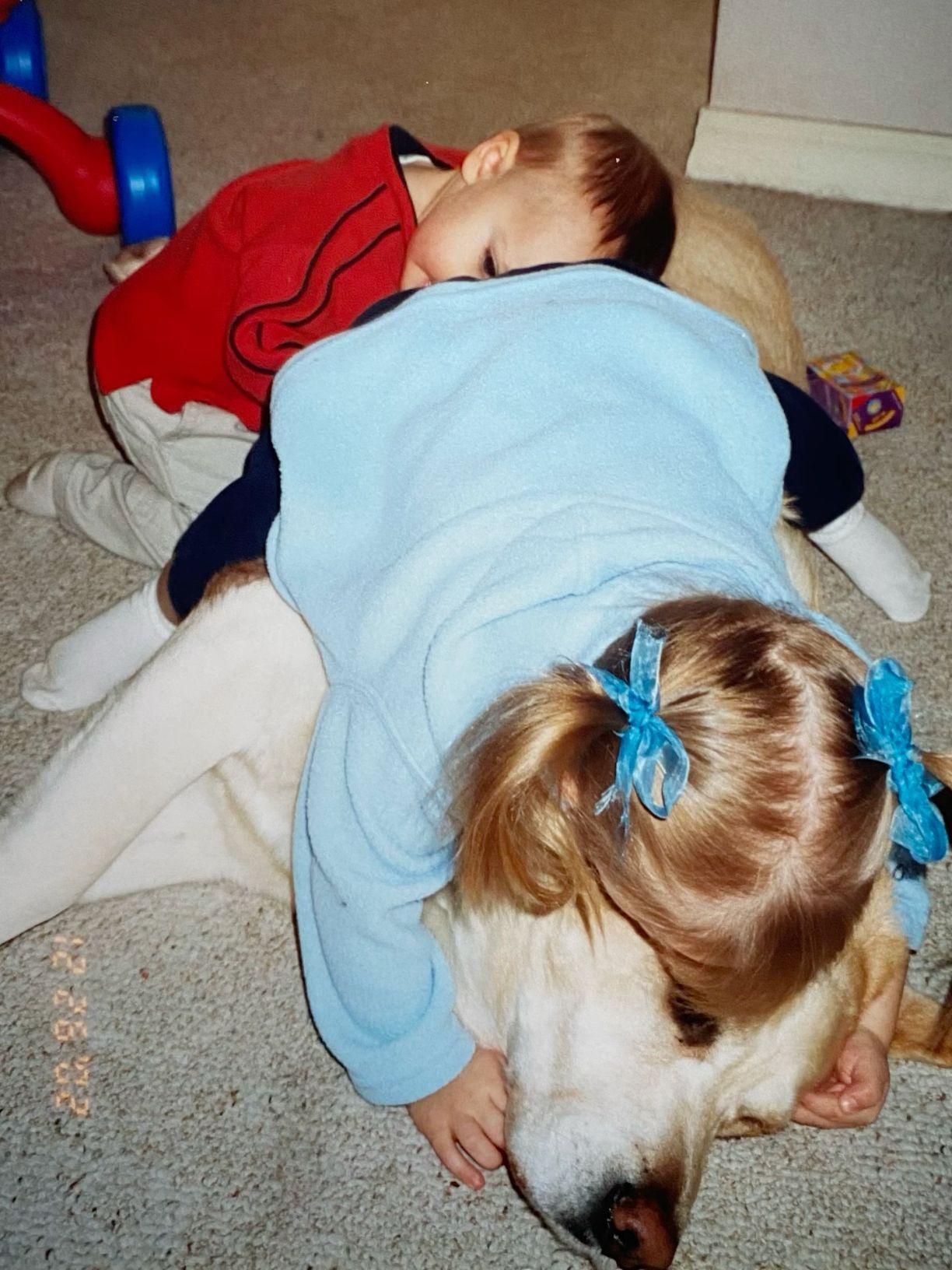 Two young toddlers lying on top of a large yellow Labrador dog on a carpeted floor.
