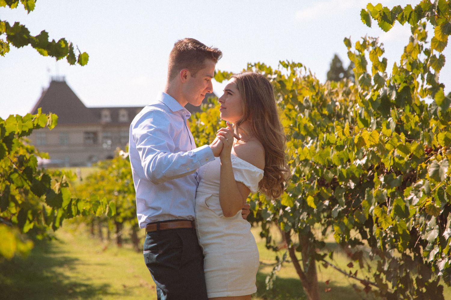 Couple sharing a tender moment together among lush green grapevines in a sunny vineyard.