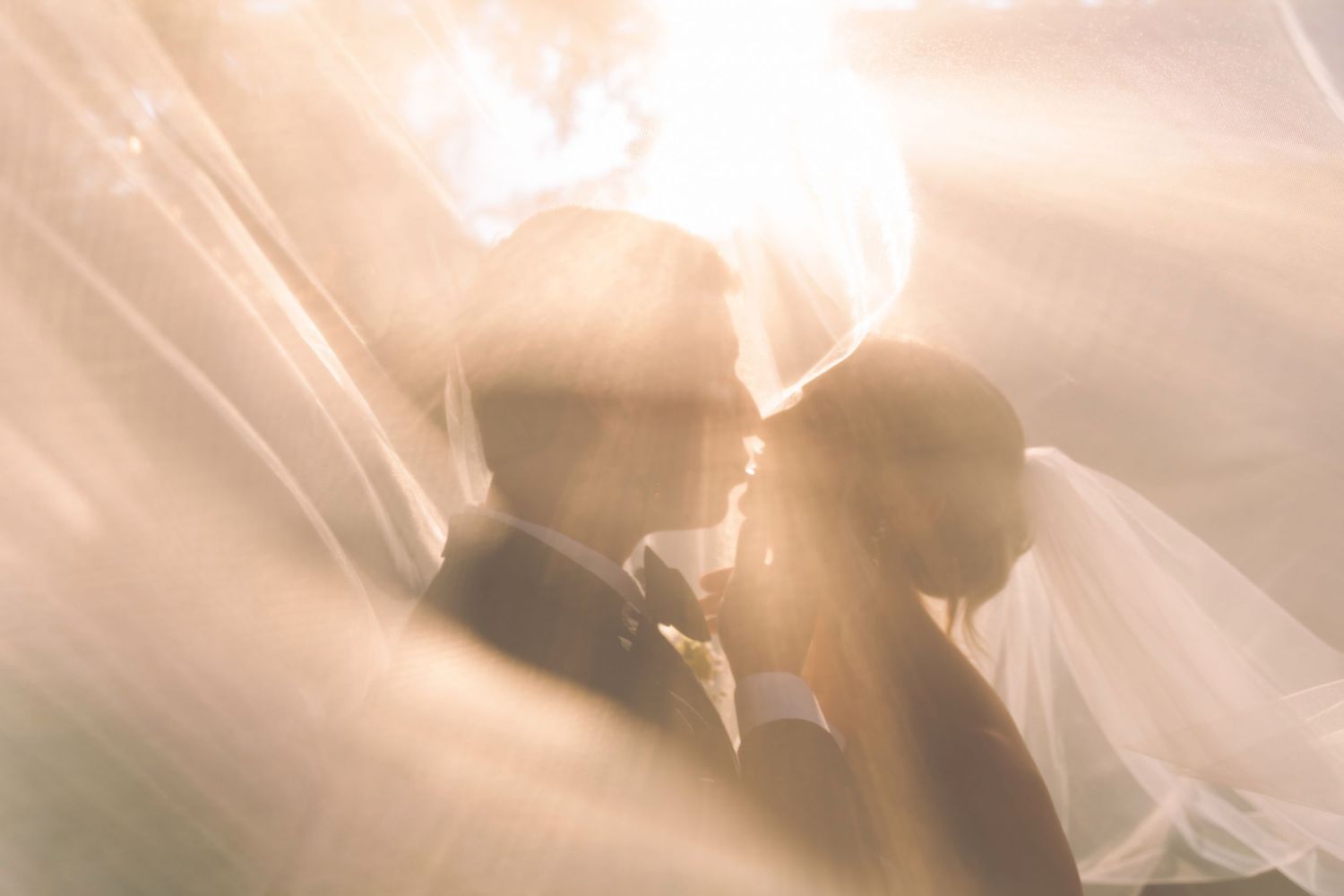Romantic wedding couple sharing an intimate moment bathed in golden sunlight through a flowing bridal veil.