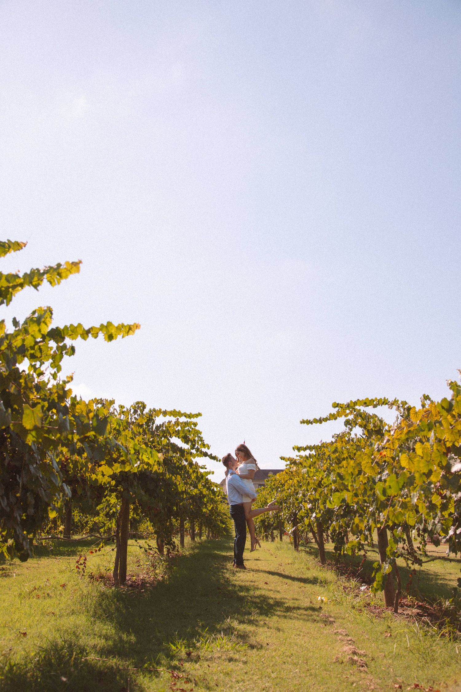 Couple embracing romantically between lush green vineyard rows under a clear blue sky on a sunny day.