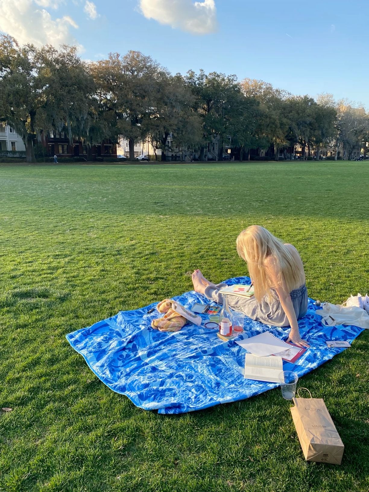 Blonde woman enjoying a picnic on green grass in a sunny park.
