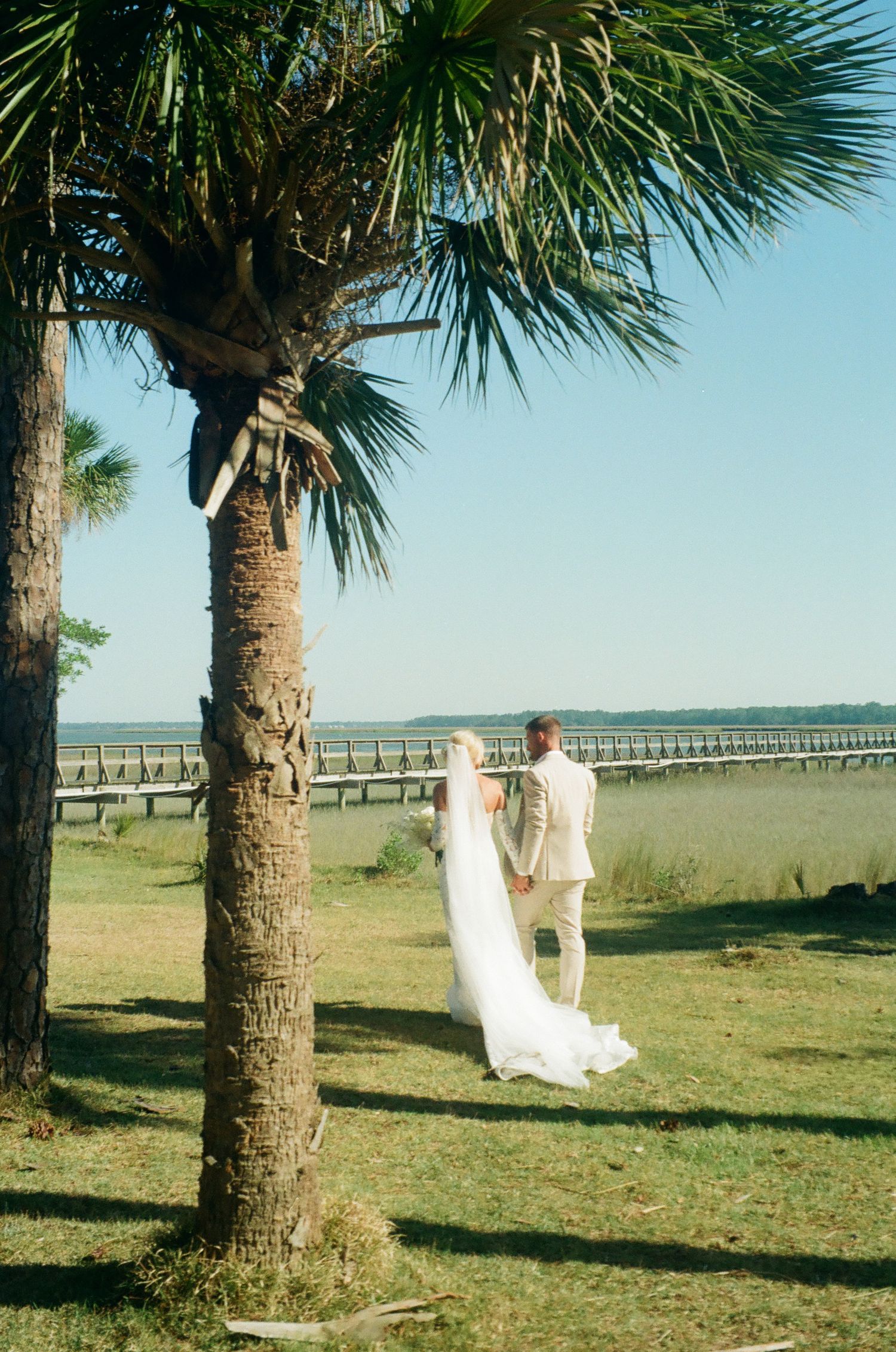 Bride and groom standing near a palm tree overlooking a scenic waterway on their wedding day.