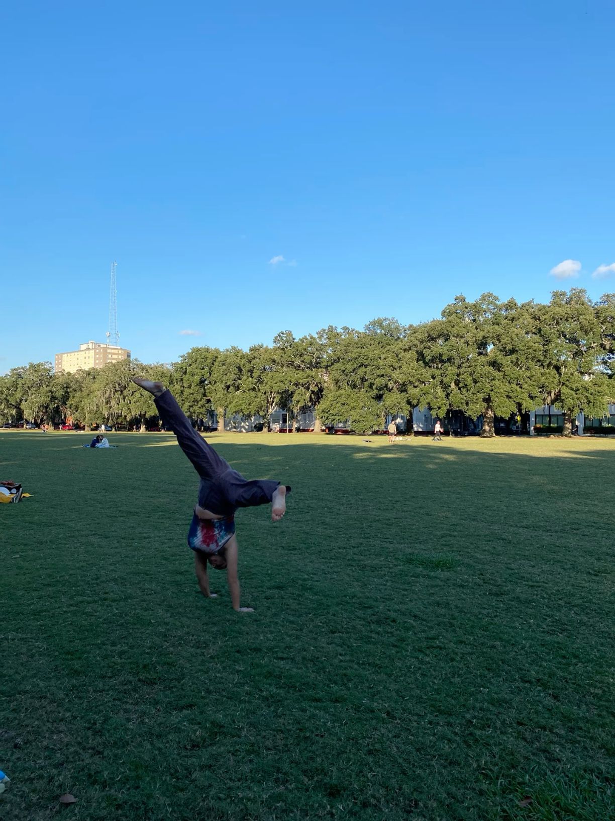 Person performing a handstand on a lush green park lawn with trees and buildings in the background.