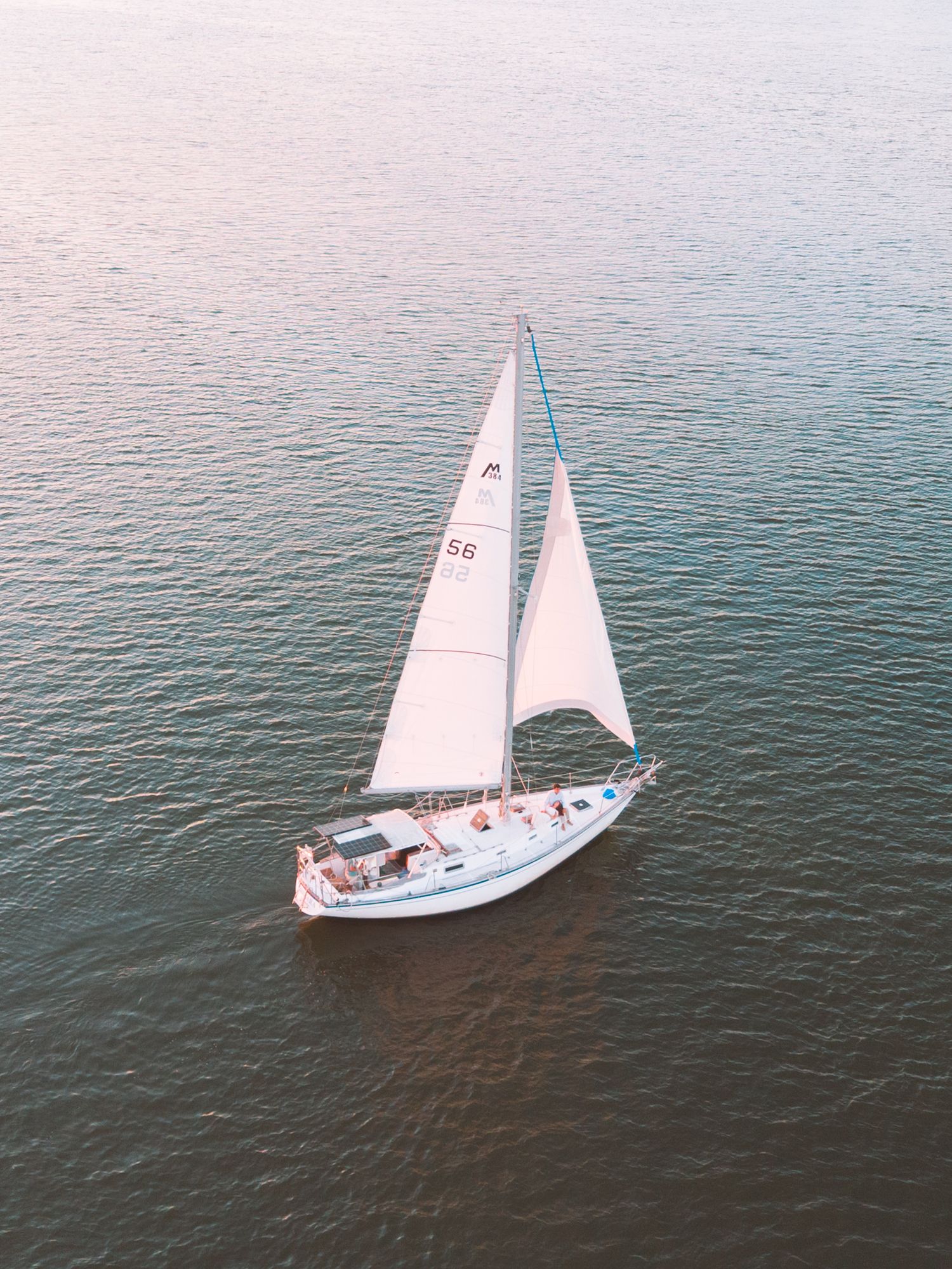 Aerial view of a white sailboat with number 56 sailing on calm open water.