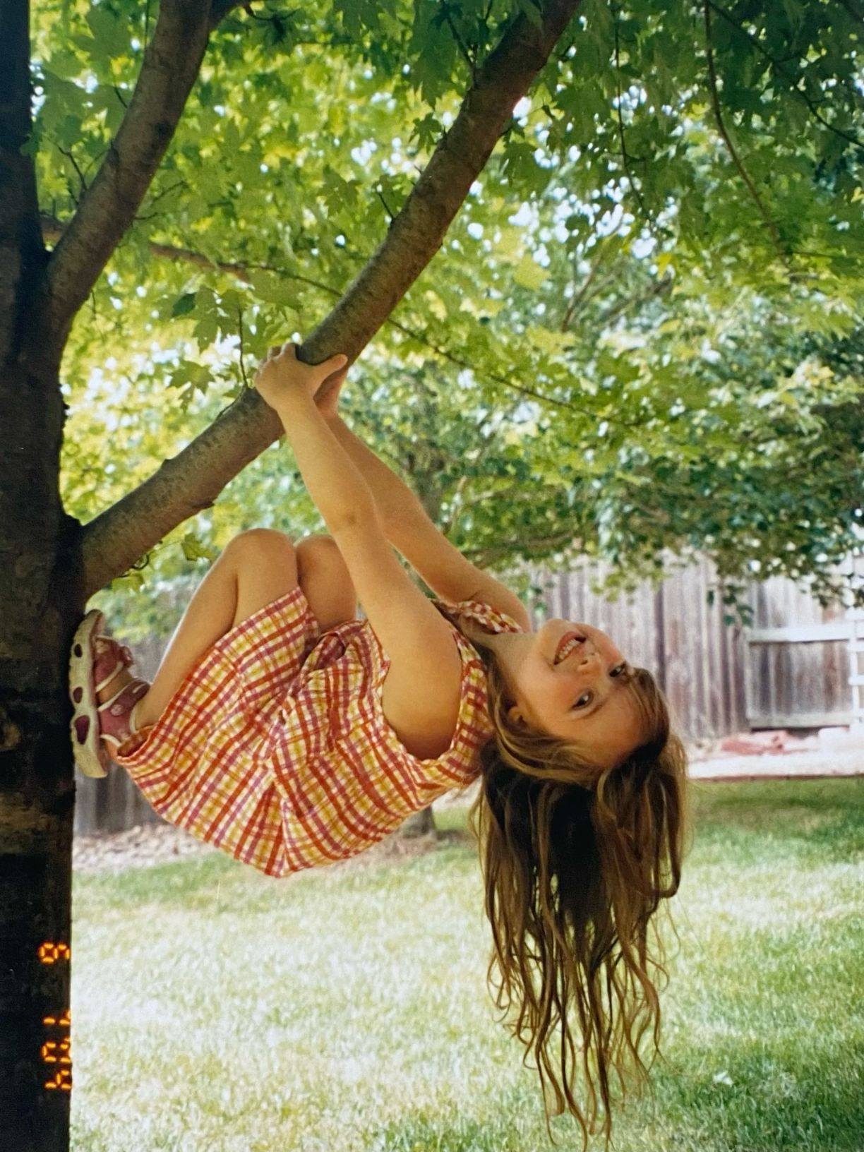 Young girl in plaid dress hanging upside down from a tree branch in backyard.