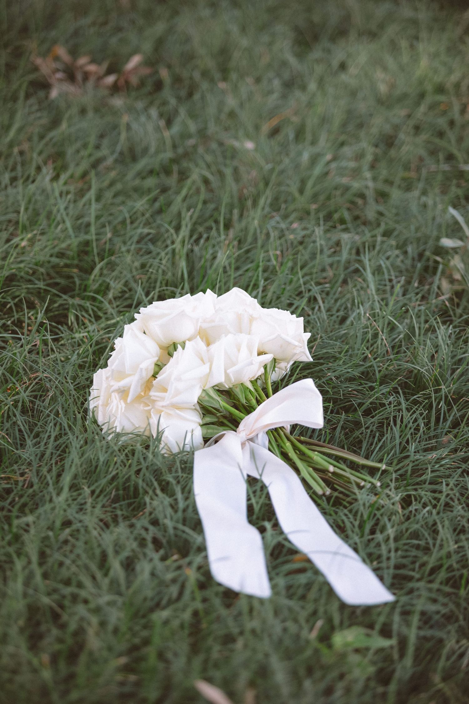 Elegant white rose bridal bouquet with long ribbon laying on green grass.
