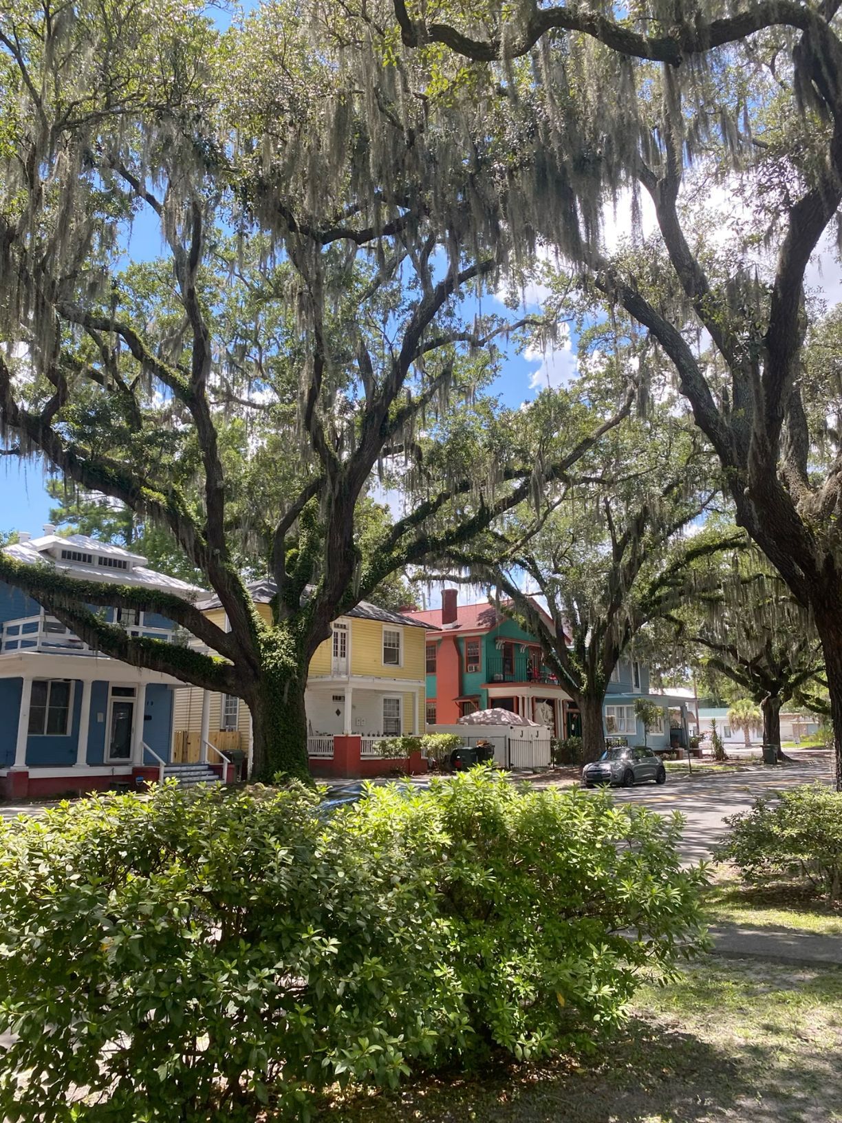 Colorful historic homes beneath sprawling Spanish moss-draped oak trees on a sunny Southern street.