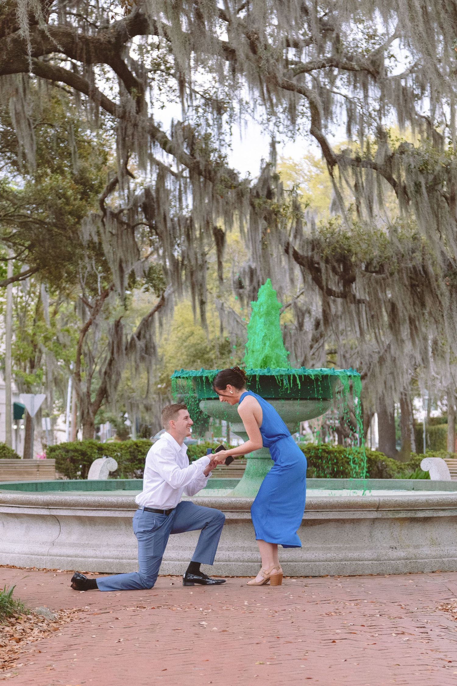 Man proposing on one knee to woman in blue dress near a fountain with Spanish moss trees.