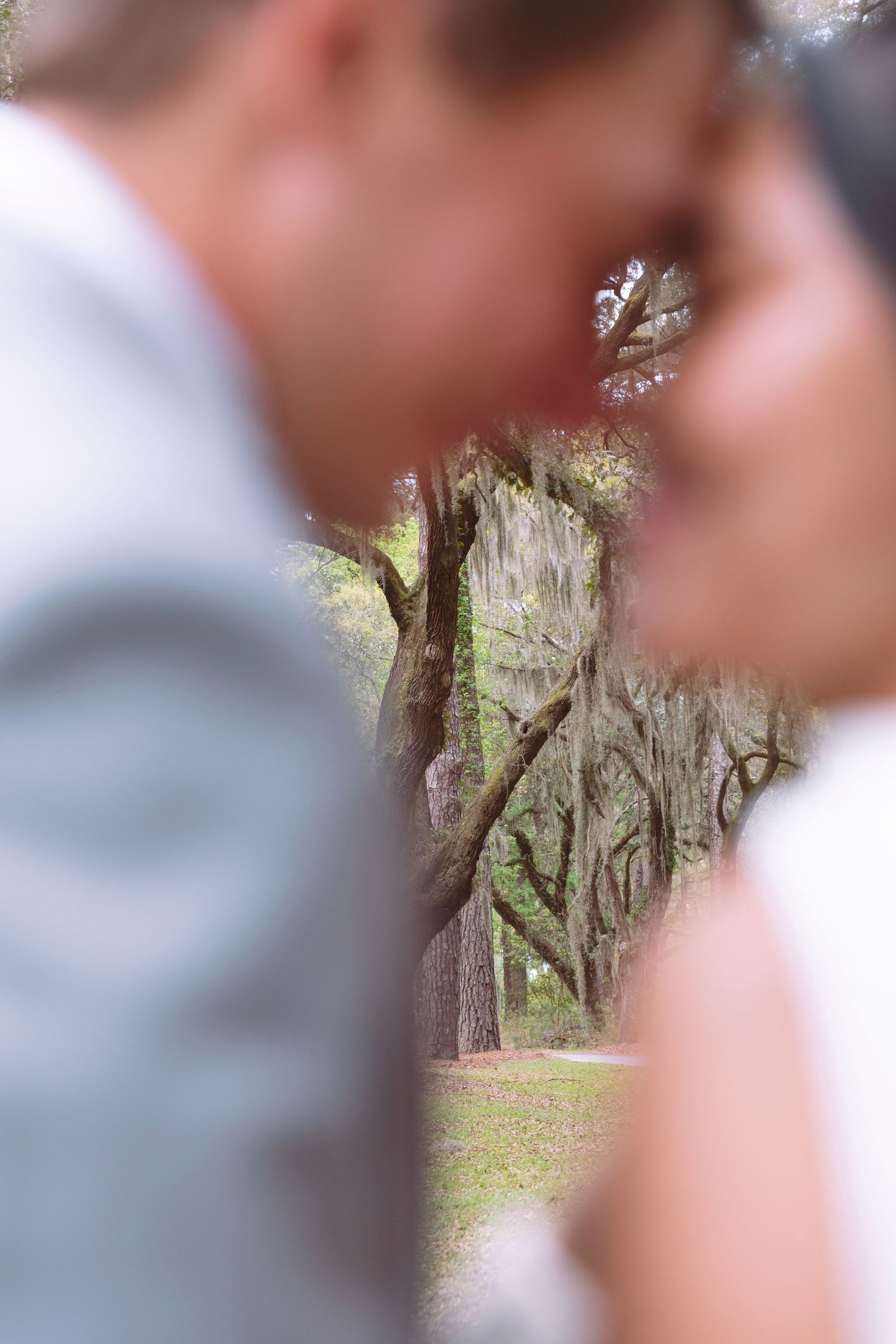 Blurred bride and groom touching foreheads with moss-draped oak trees visible in soft focus background at outdoor wedding.