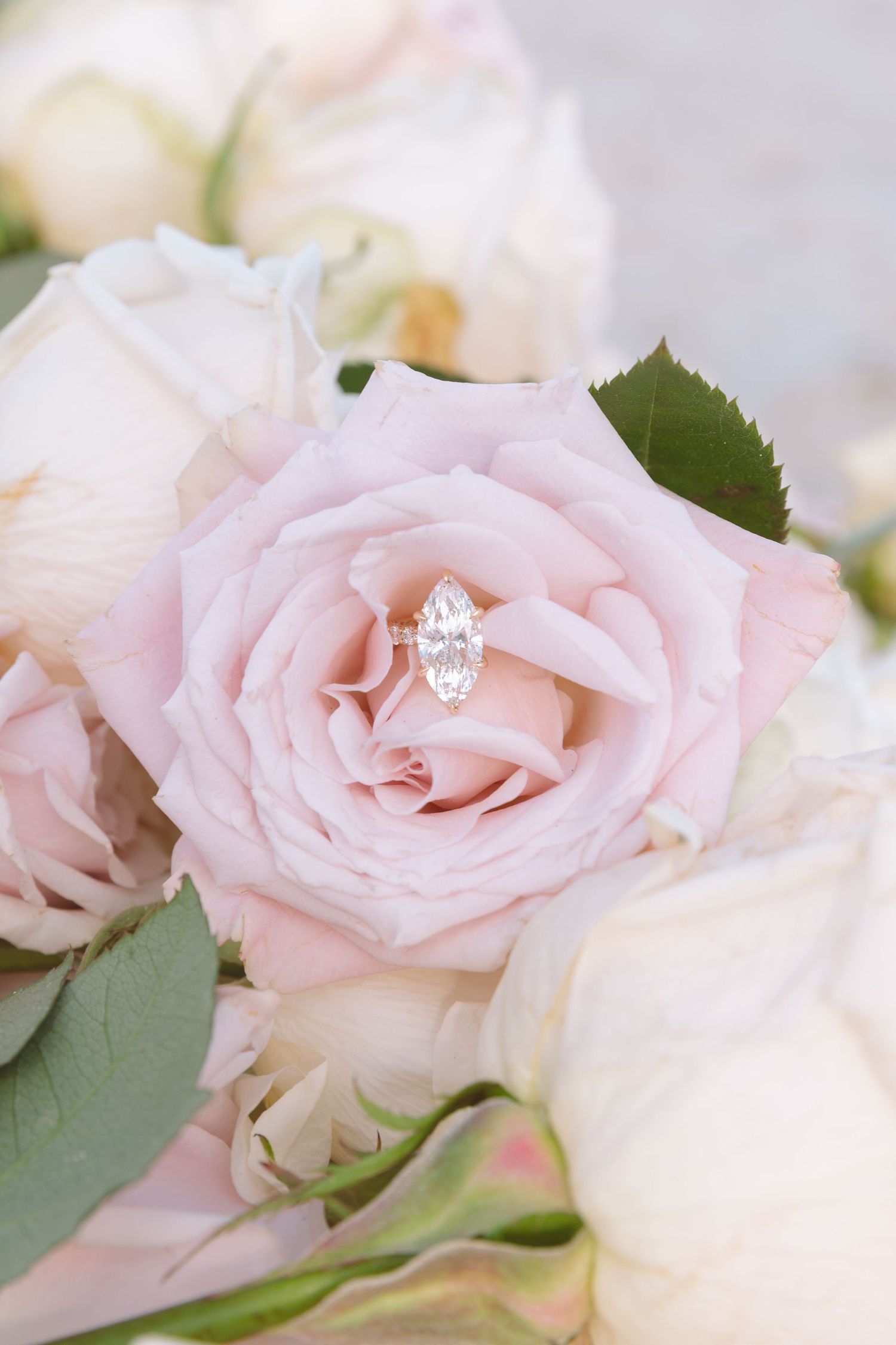 Marquise diamond engagement ring resting inside a soft pink rose in a bridal bouquet.
