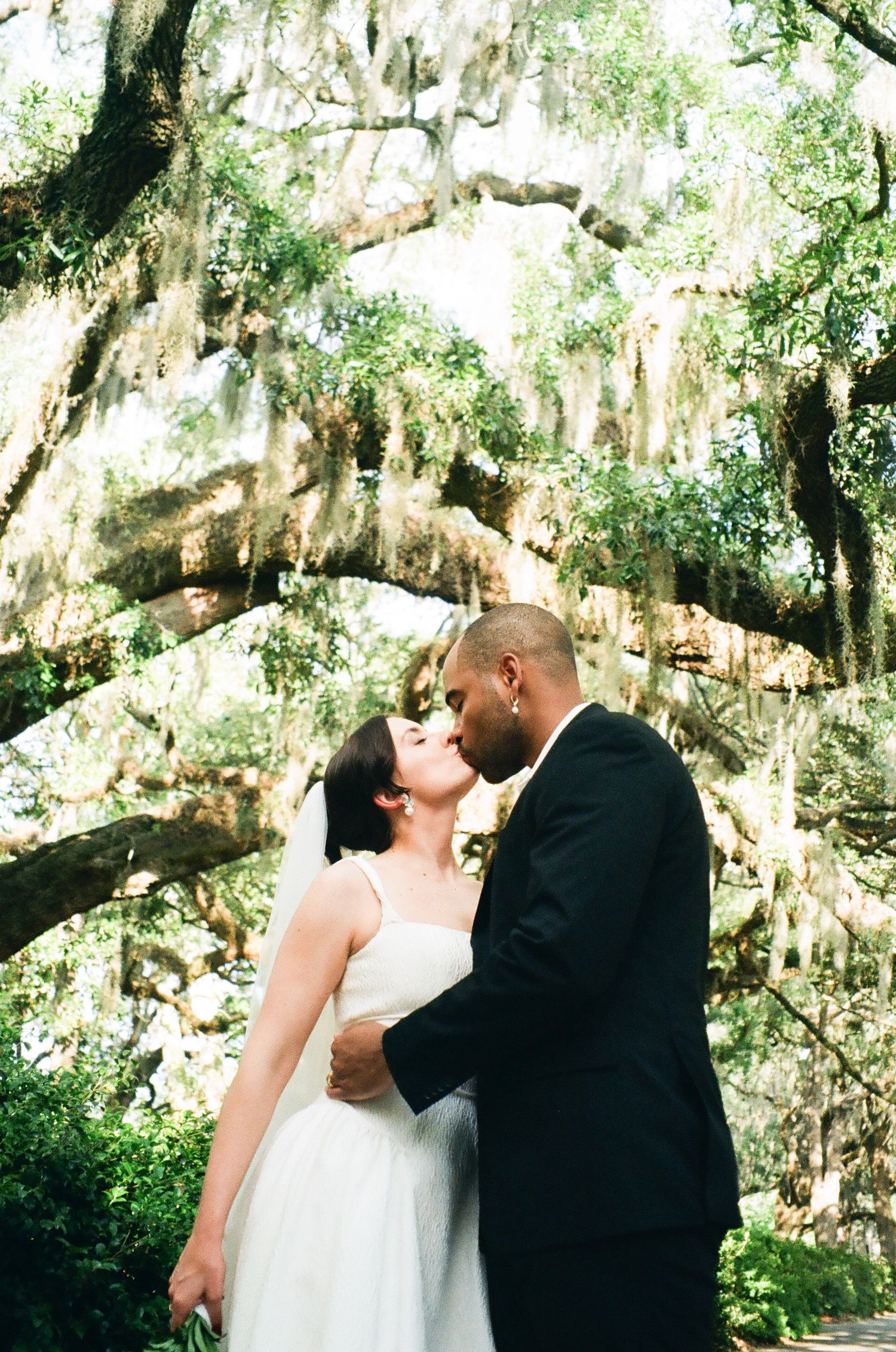 A bride and groom share a romantic kiss under a sprawling oak tree draped with Spanish moss.