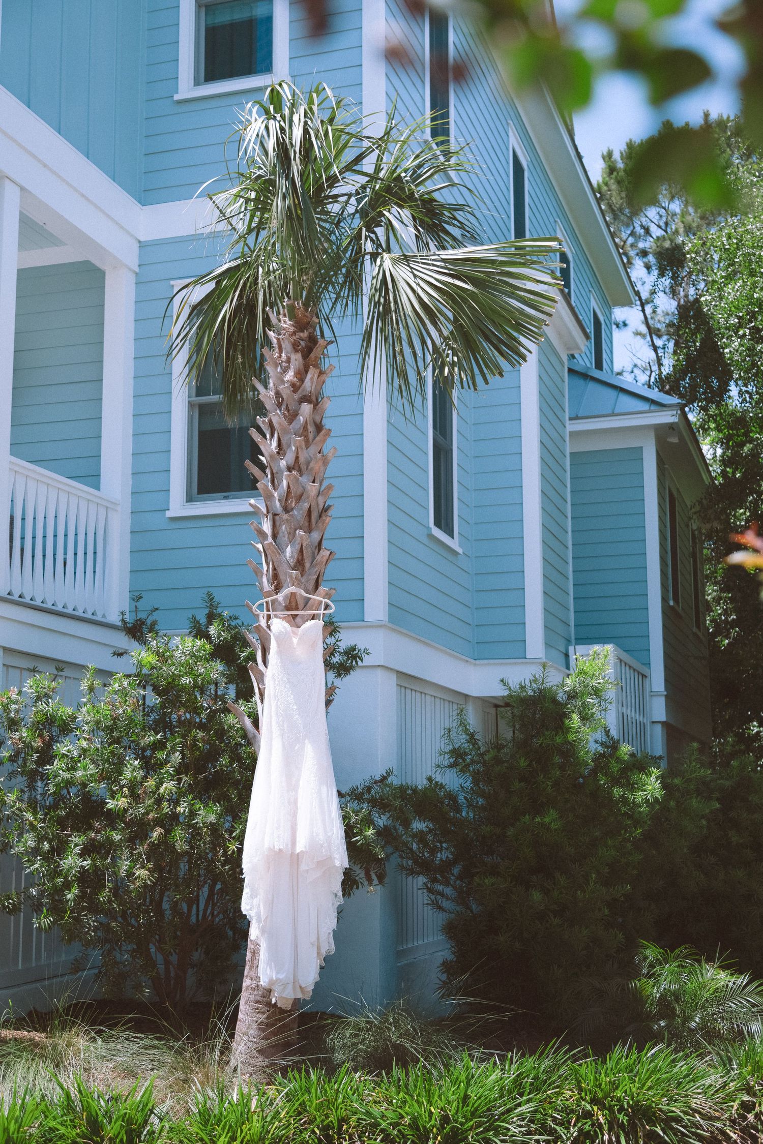 White wedding dress hanging from a palm tree in front of a blue coastal beach house.