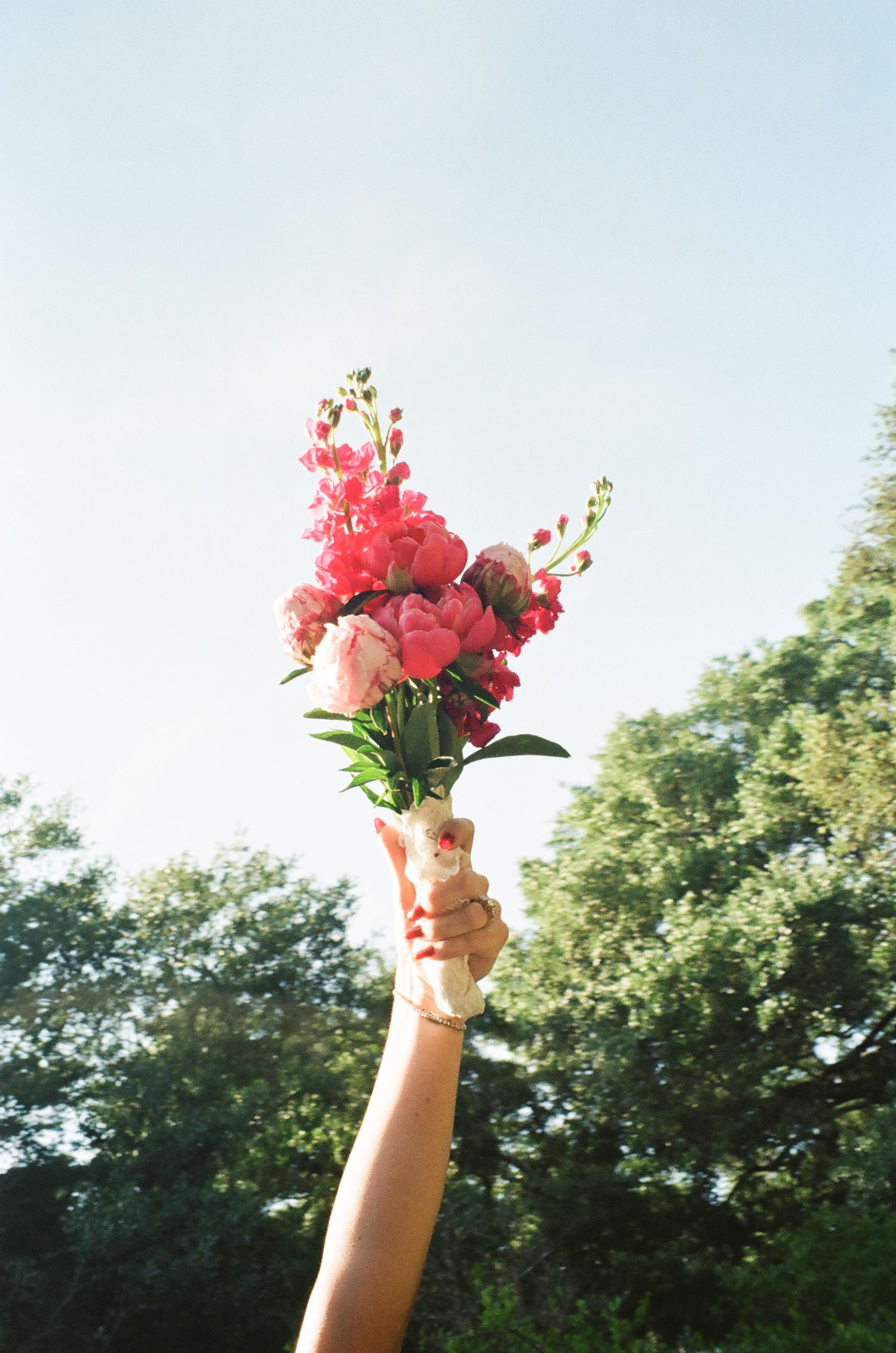 A hand holds a vibrant pink bouquet of peonies and snapdragons raised against a bright sky with green trees.